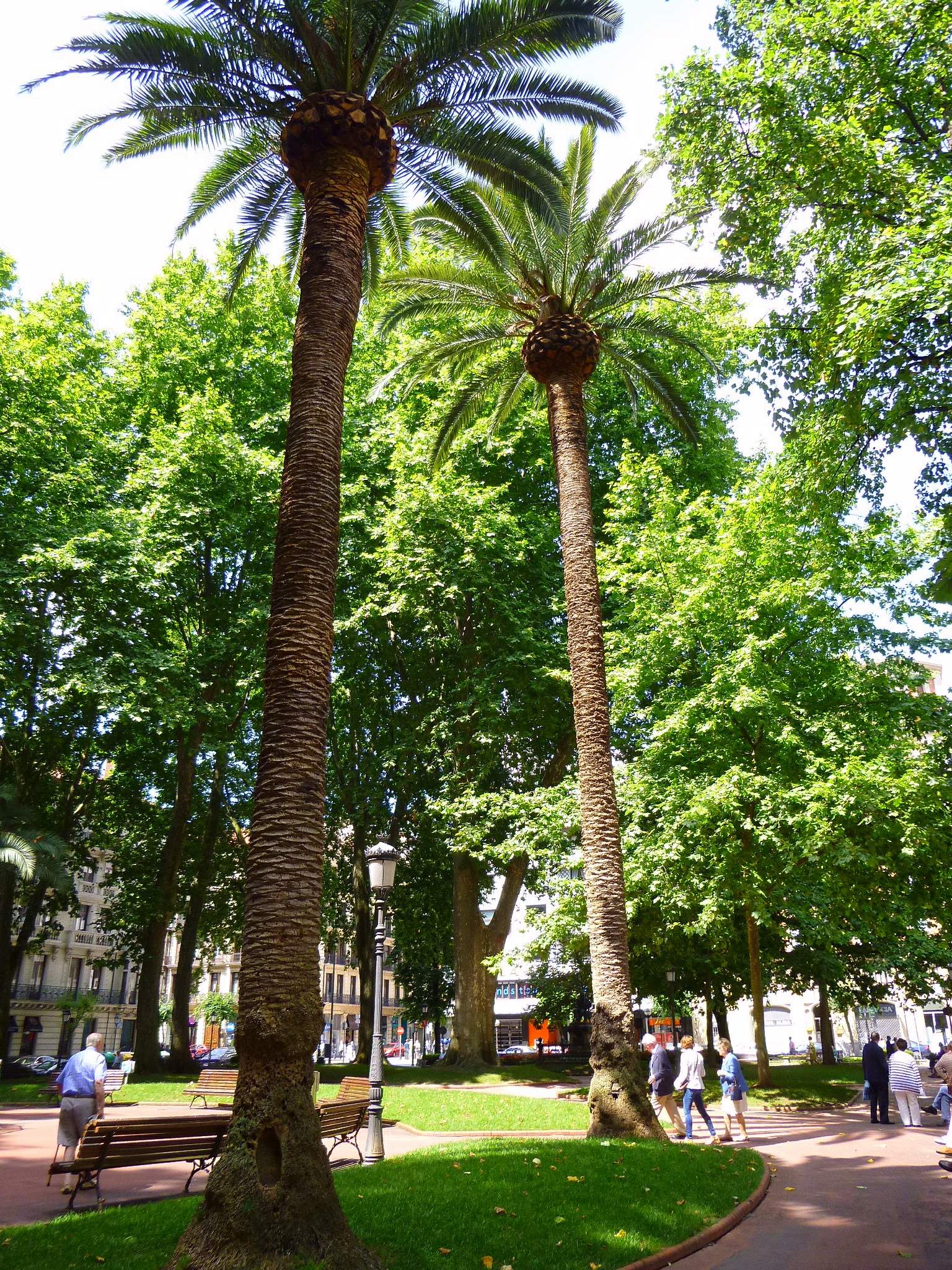 Jardines de Albia