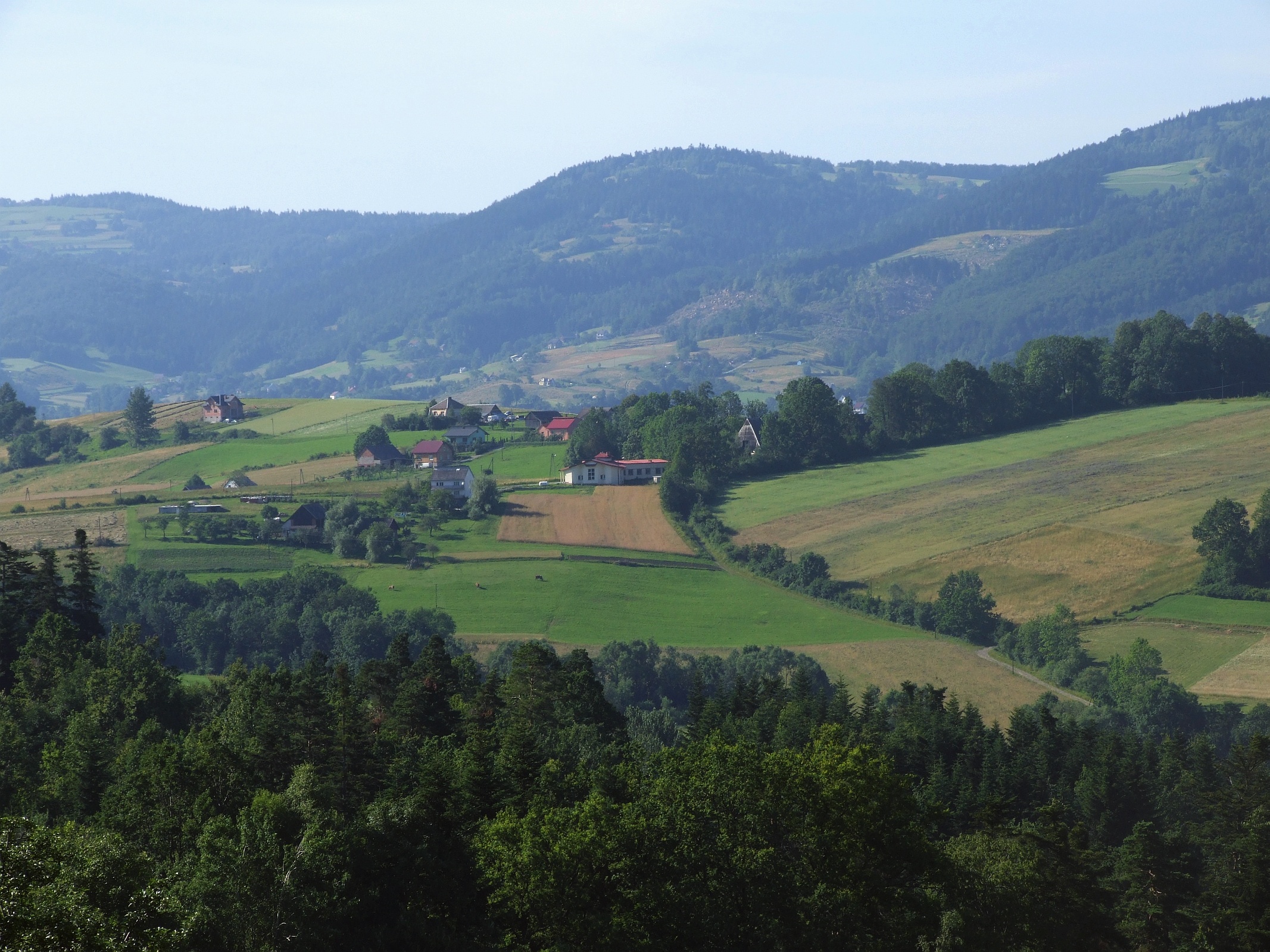 Babia Góra (Beskid Wyspowy)