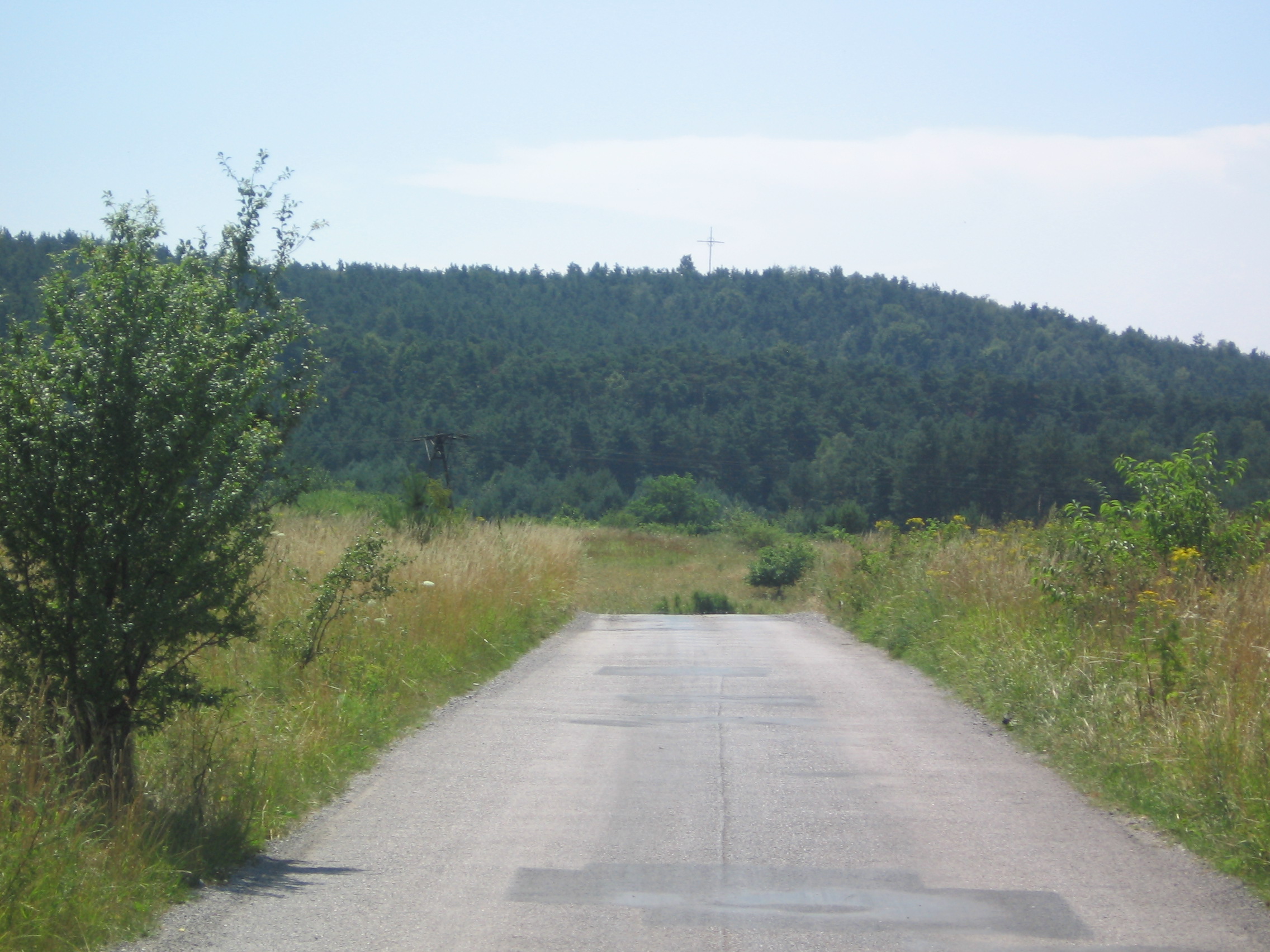 Brusznia