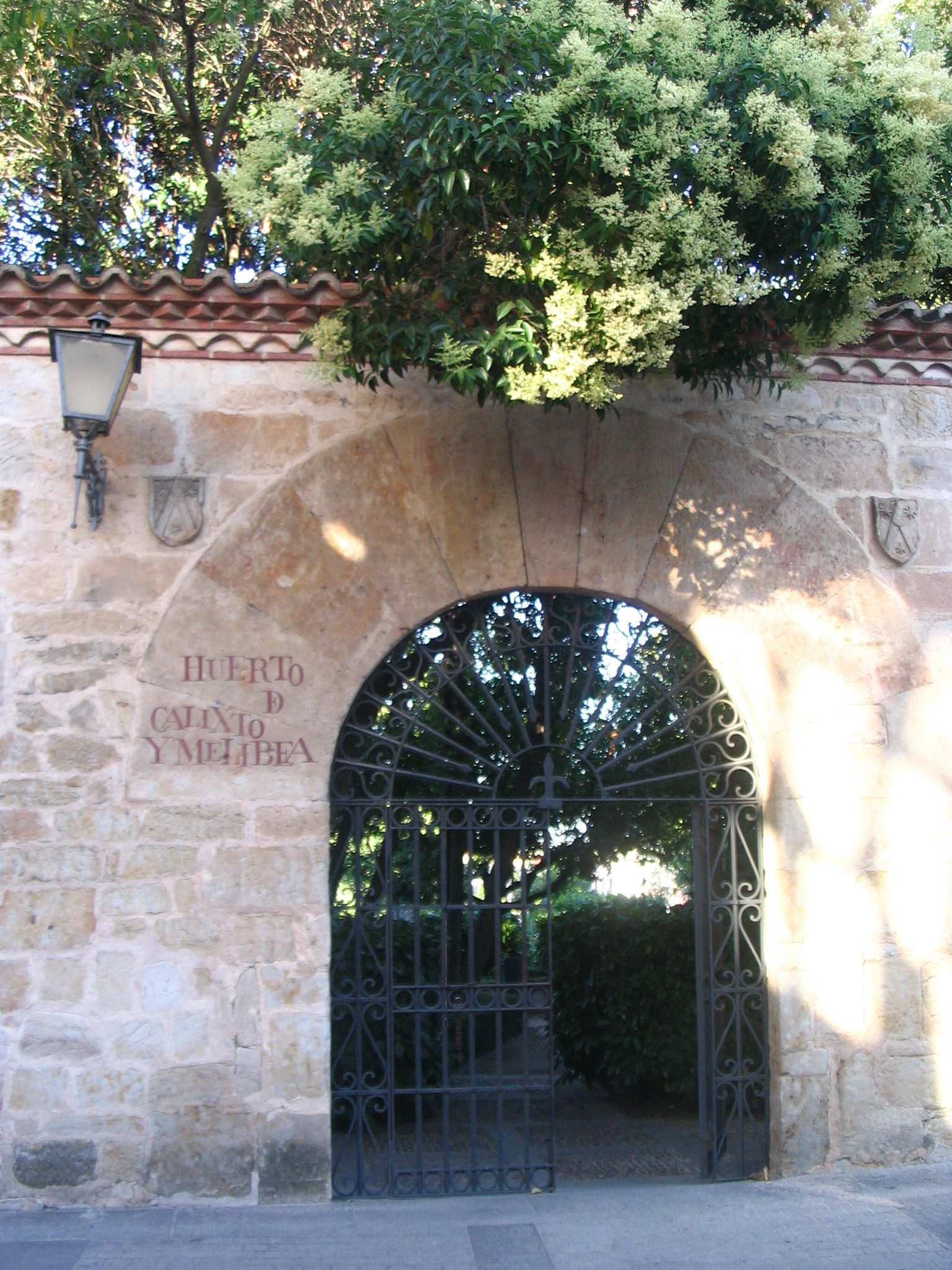 Calisto and Melibea Vegetable Garden