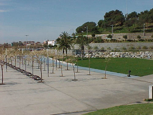 Turó d'en Caritg