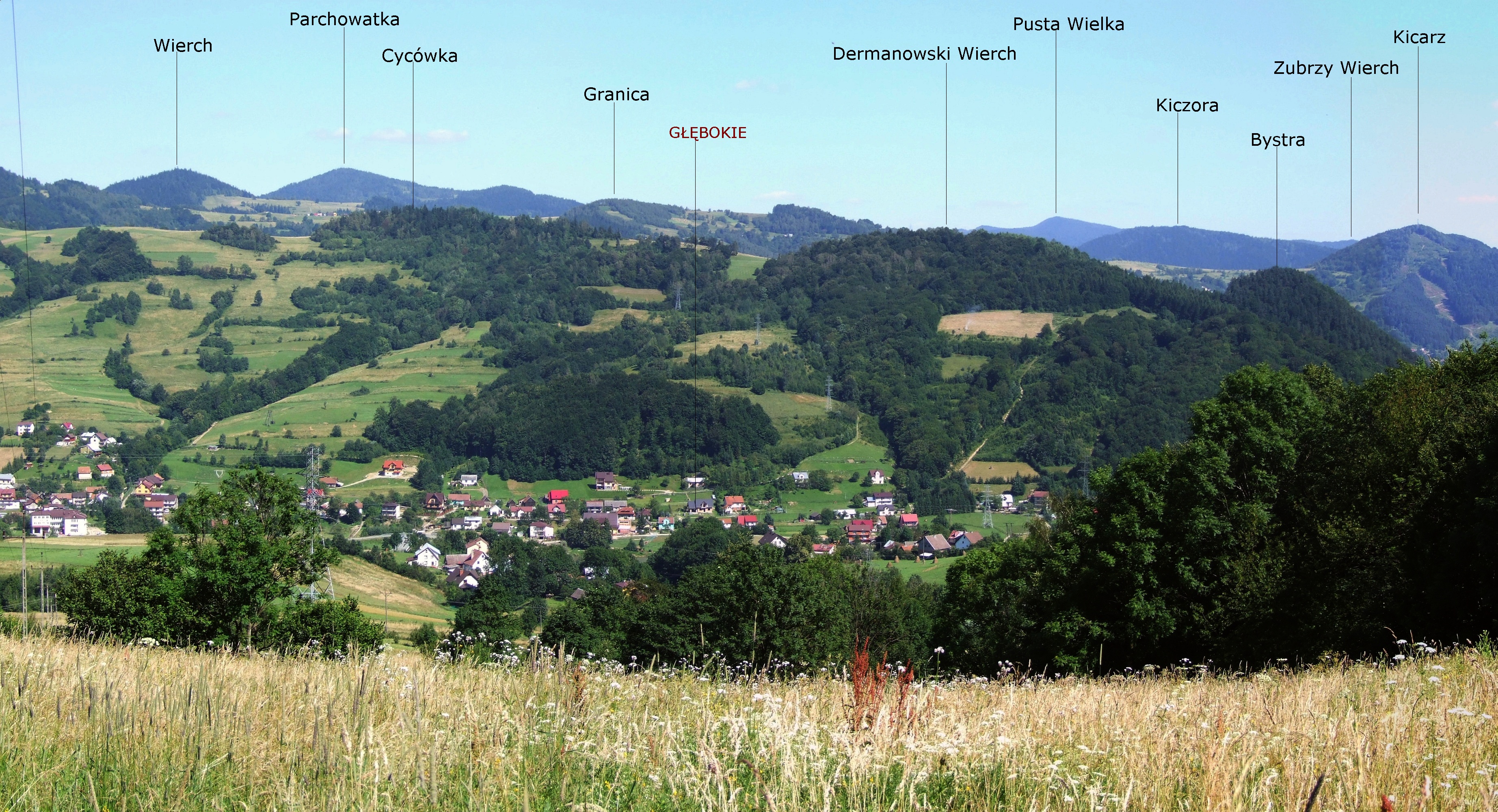 Cycówka