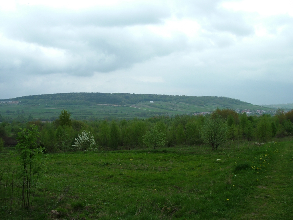 Domaniówka