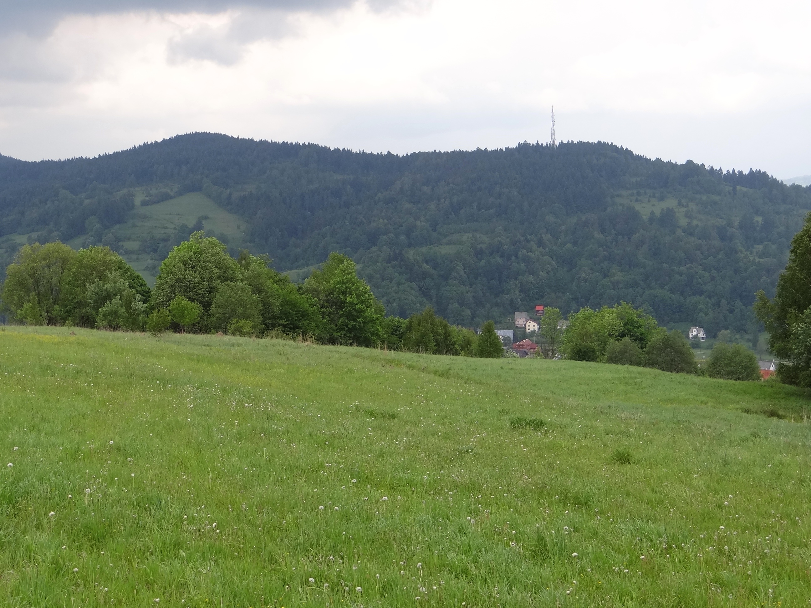 Czepelówka
