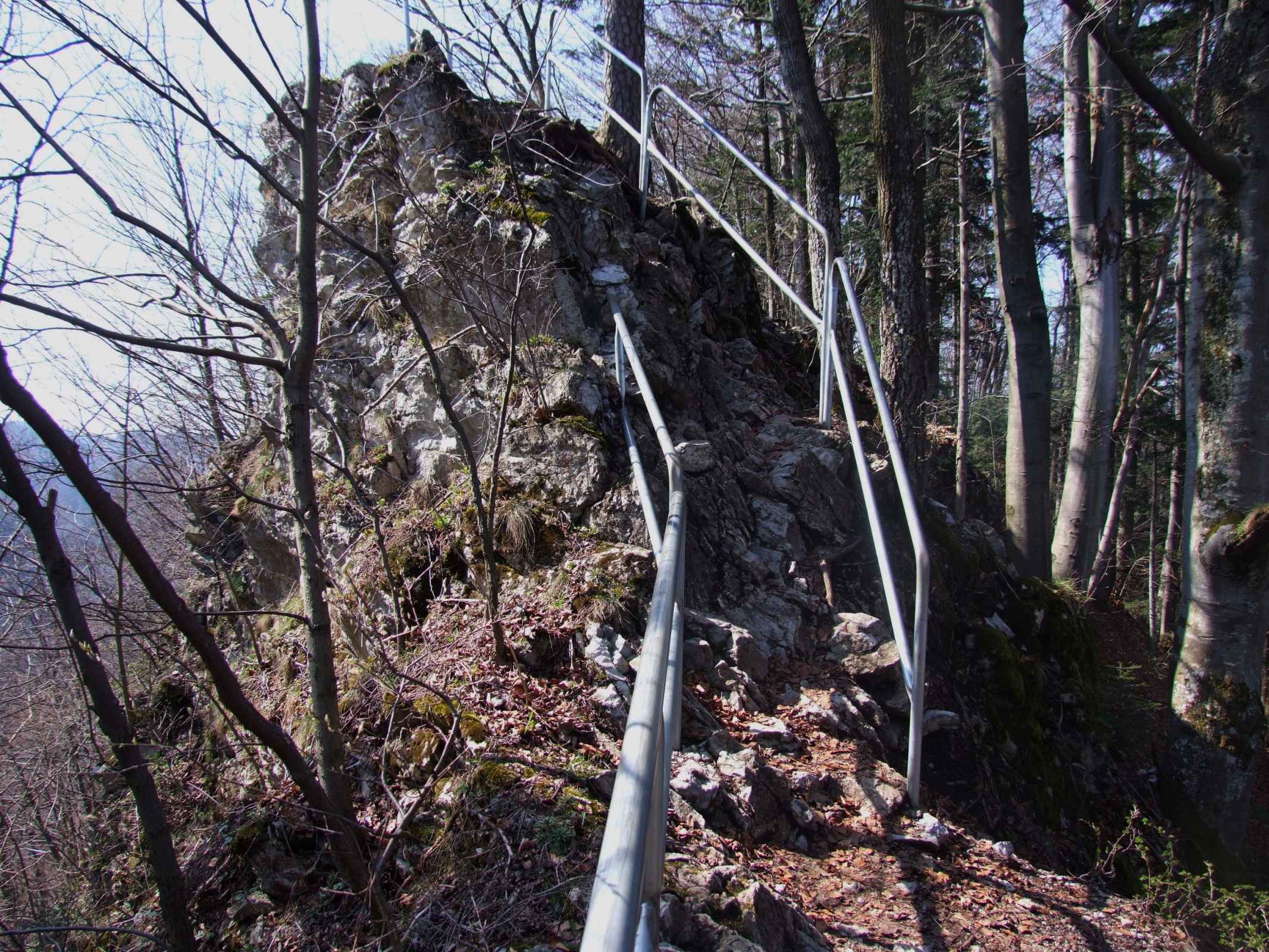 Czerteż