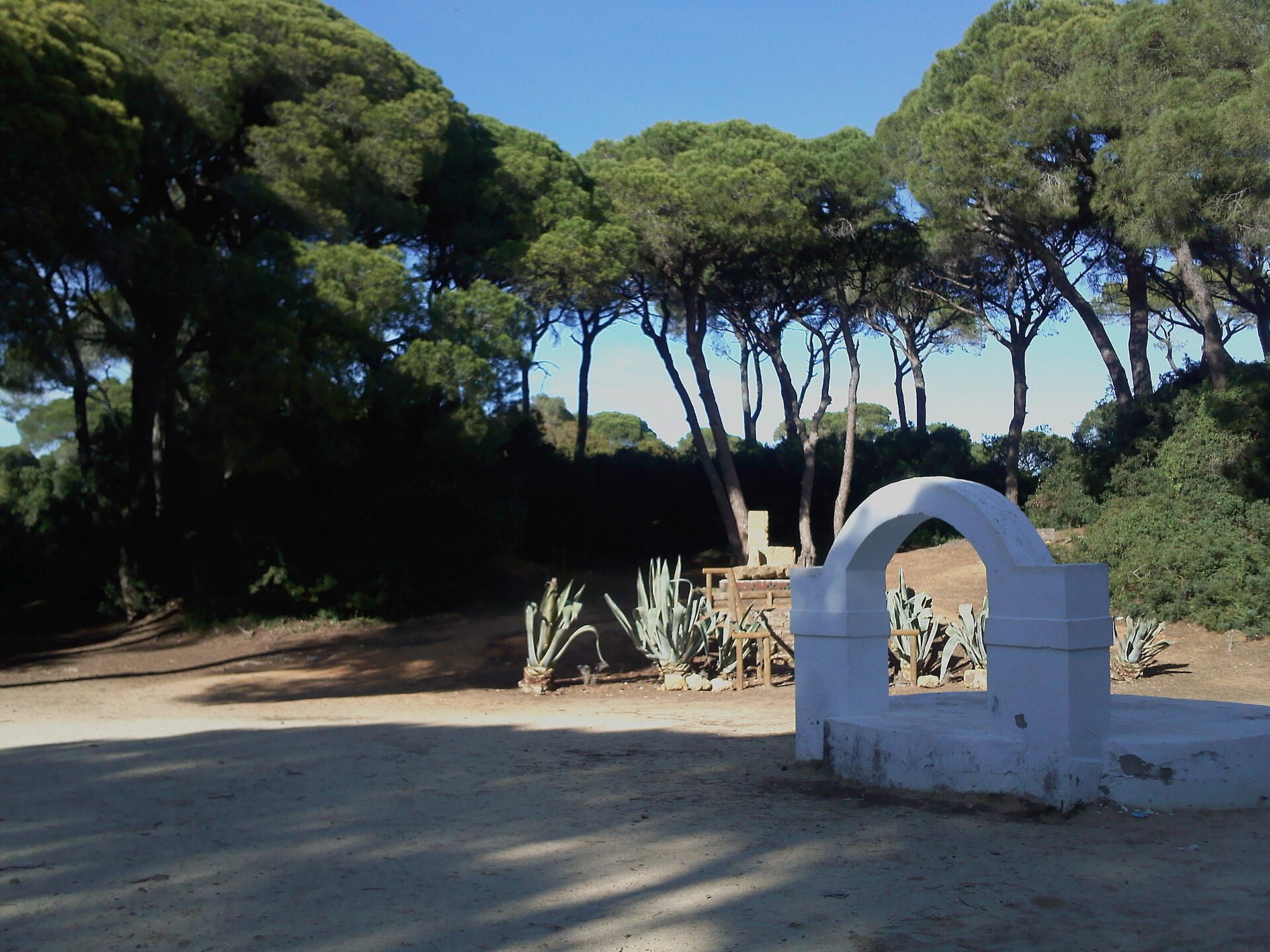 Parque de Las Canteras