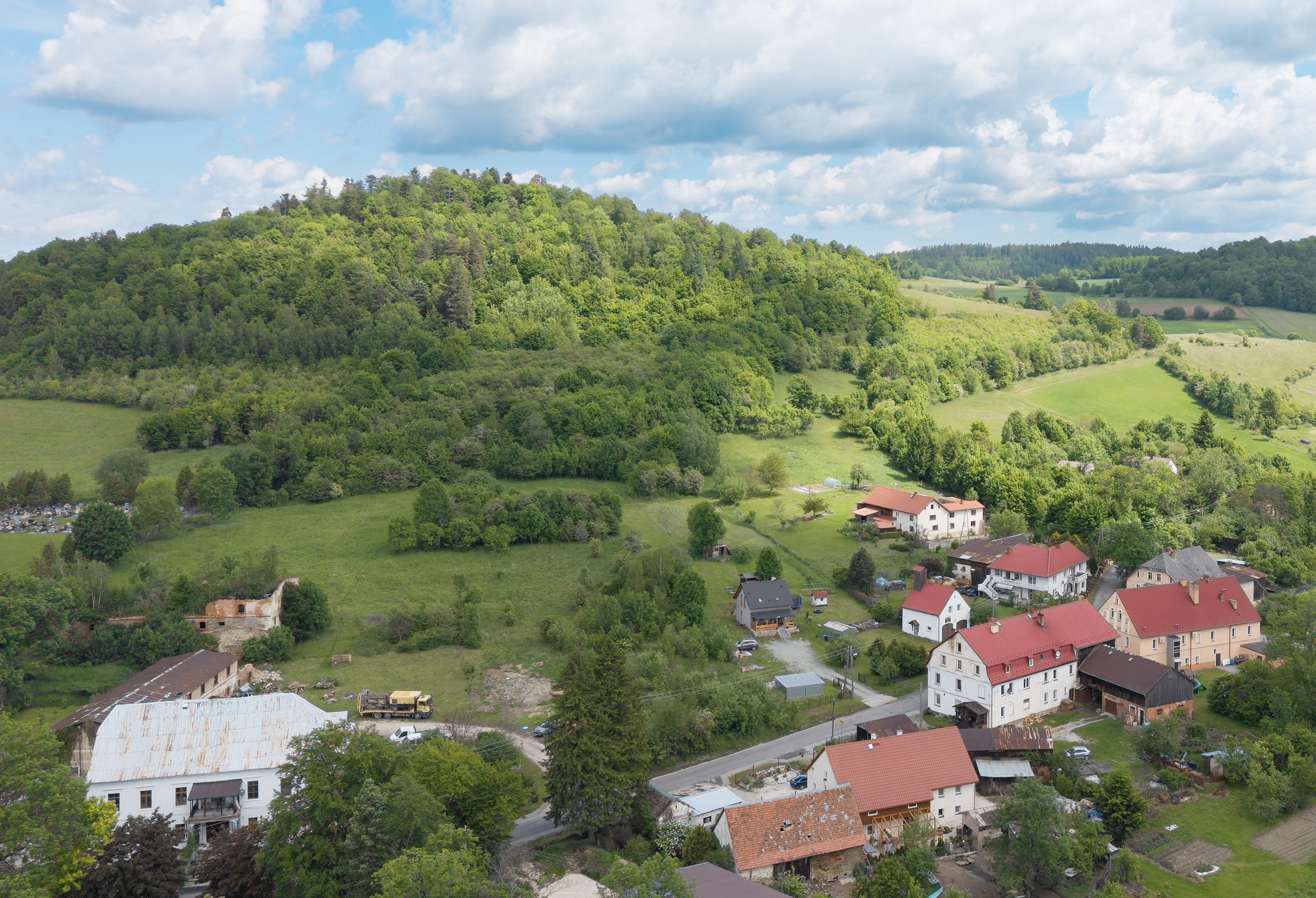 Dzicza Góra