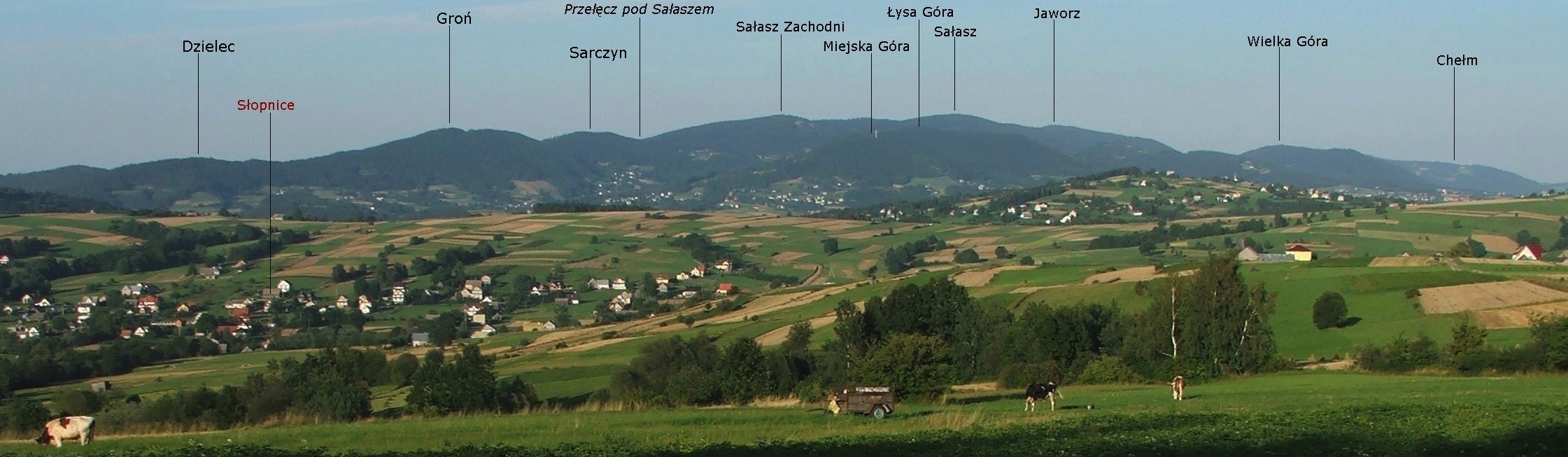 Dzielec (Pasmo Łososińskie)