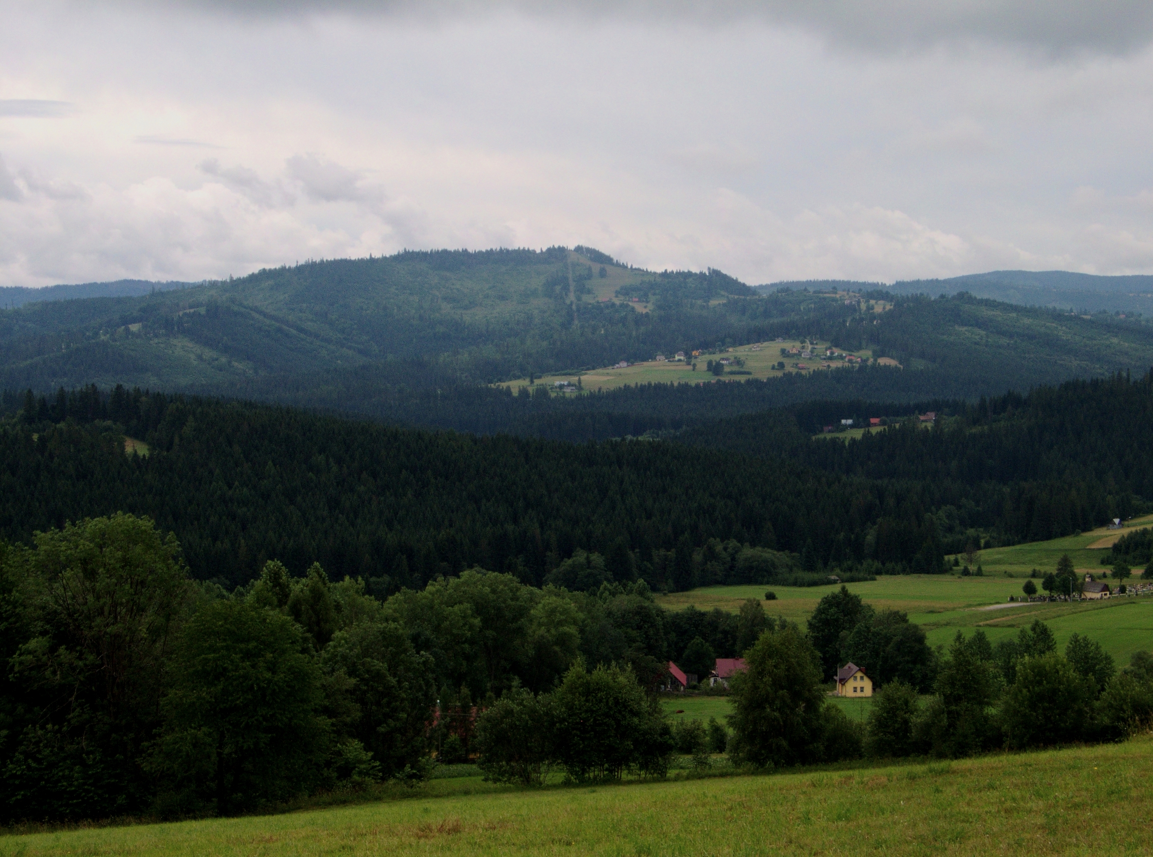Rachowiec