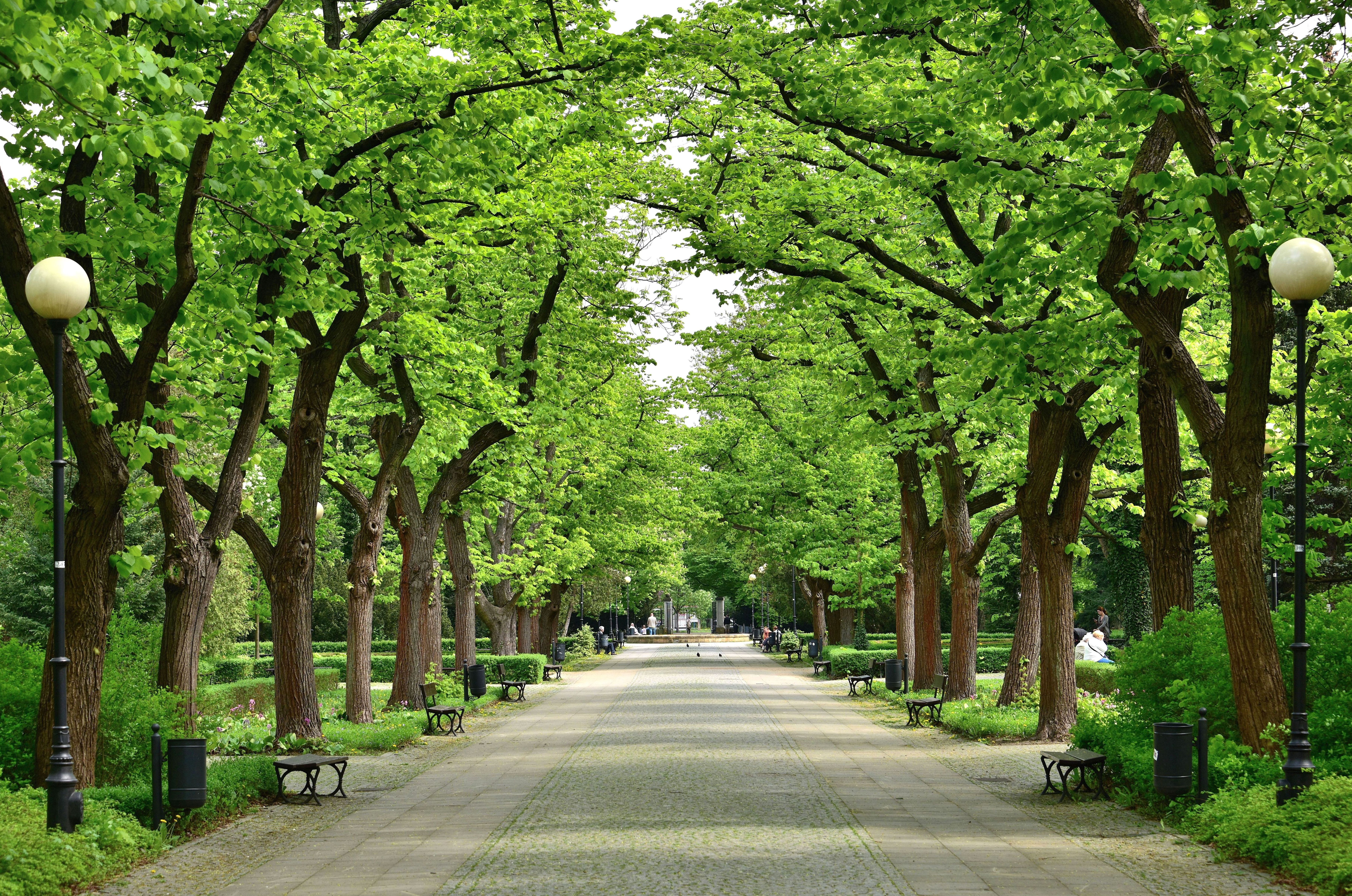 Park Dreszera