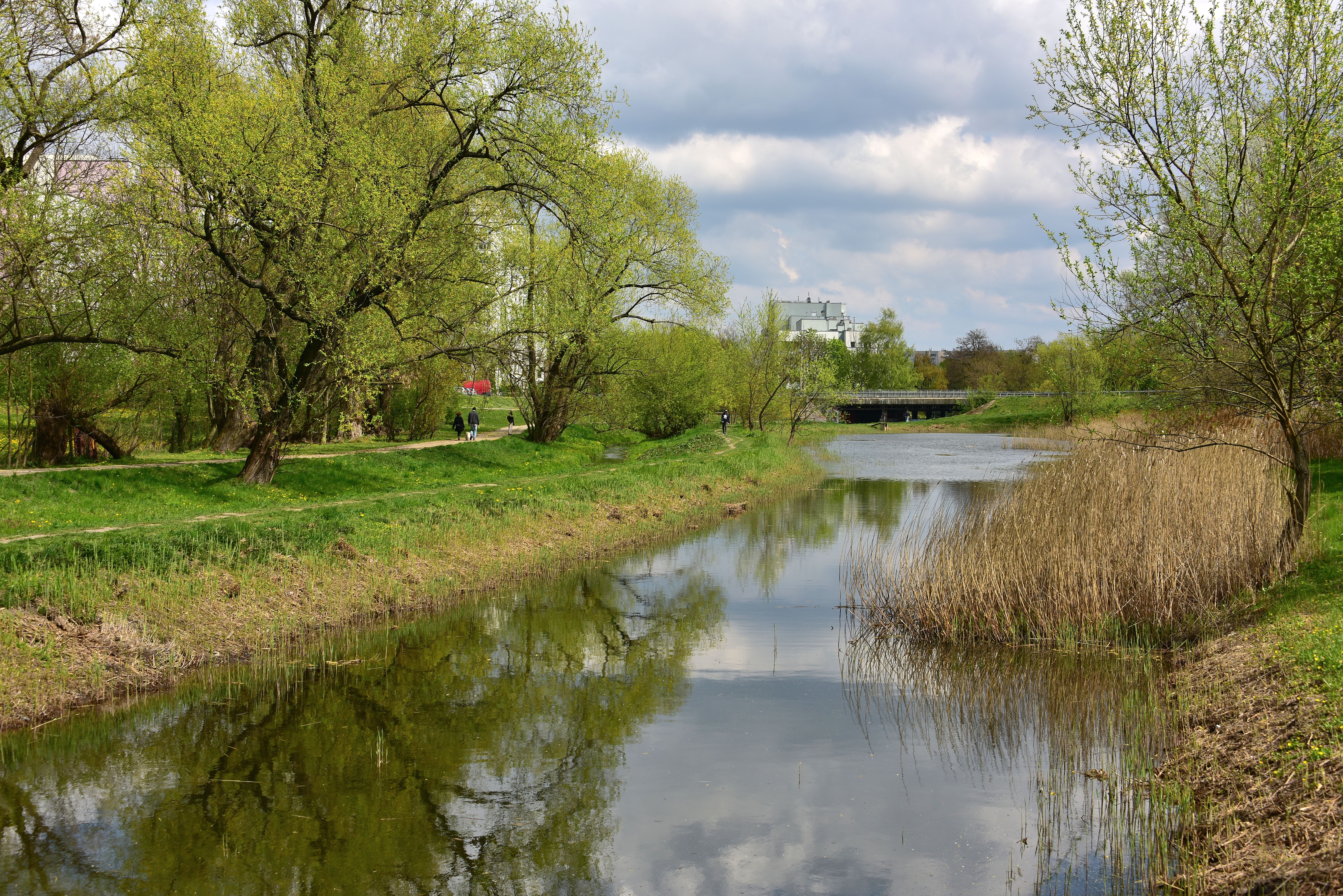 Dolinka Służewiecka Park