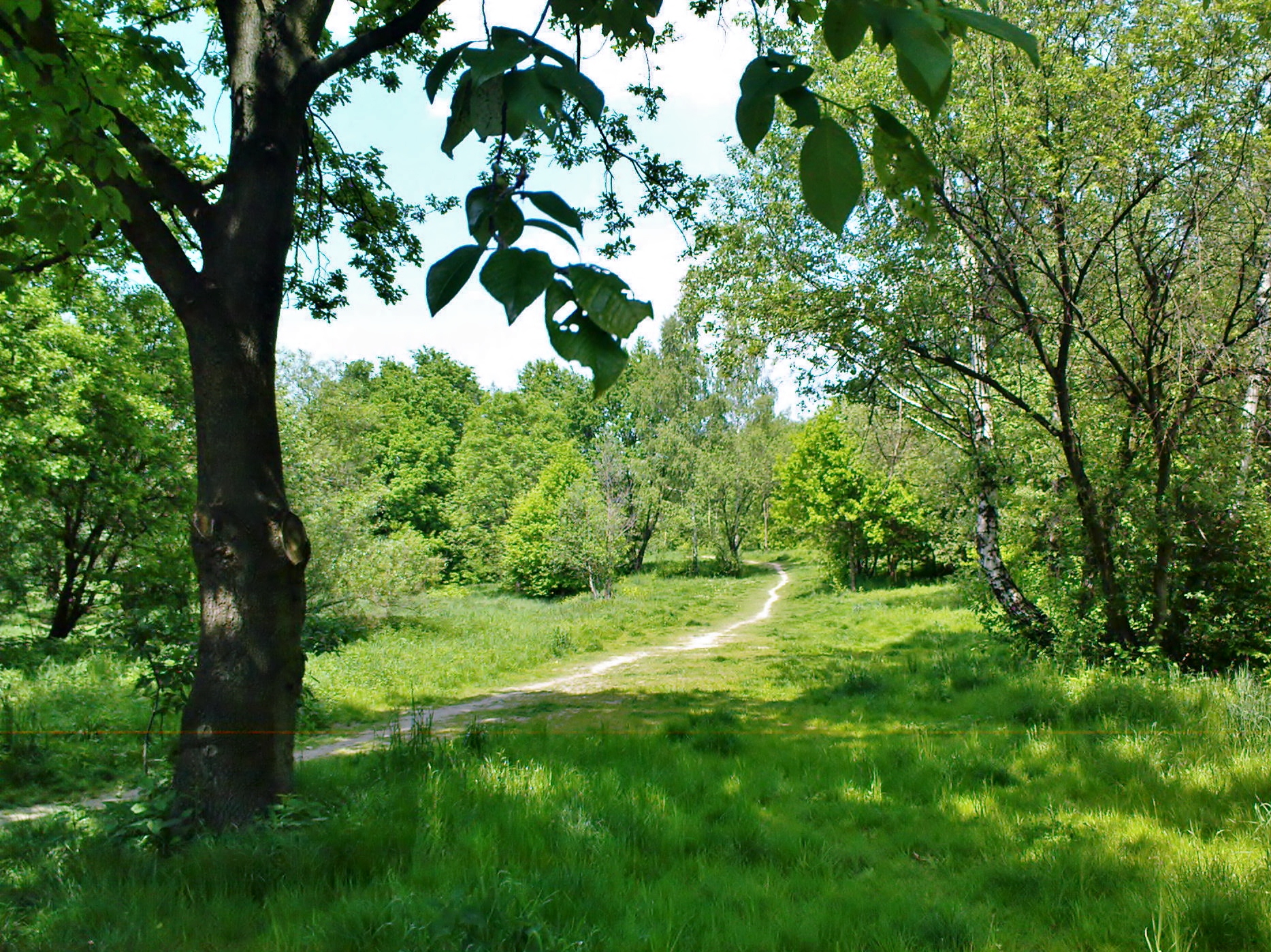 Aleksandry Park in Kraków
