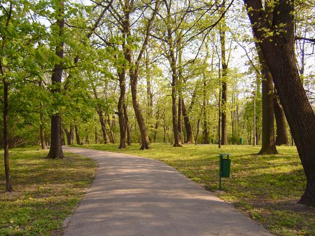 Bednarski Park in Kraków