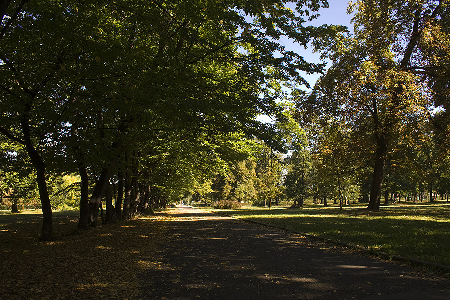 Park Skowroni