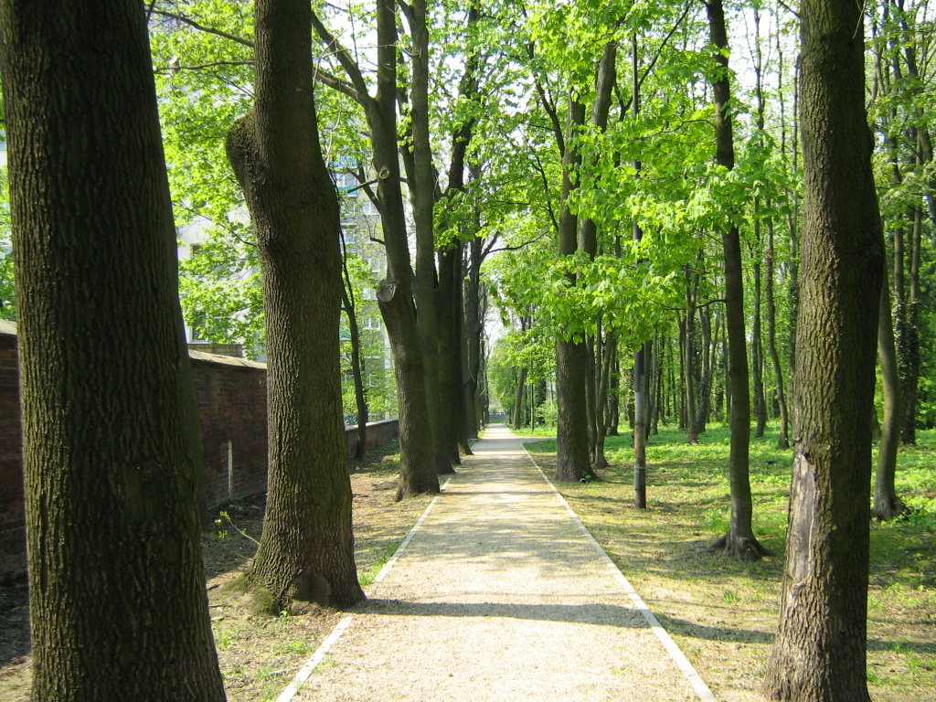 Park Rejtana w Łodzi