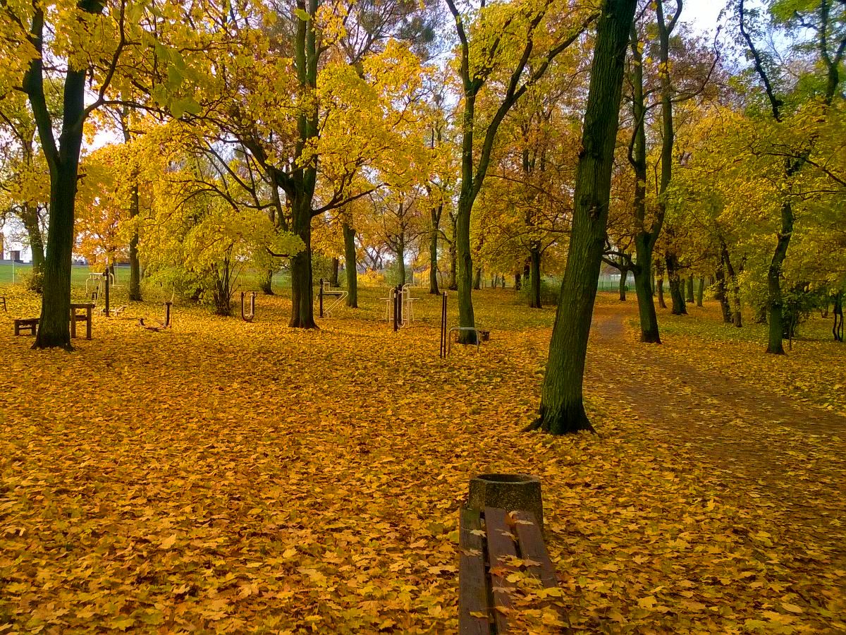 Park Waryńskiego w Toruniu