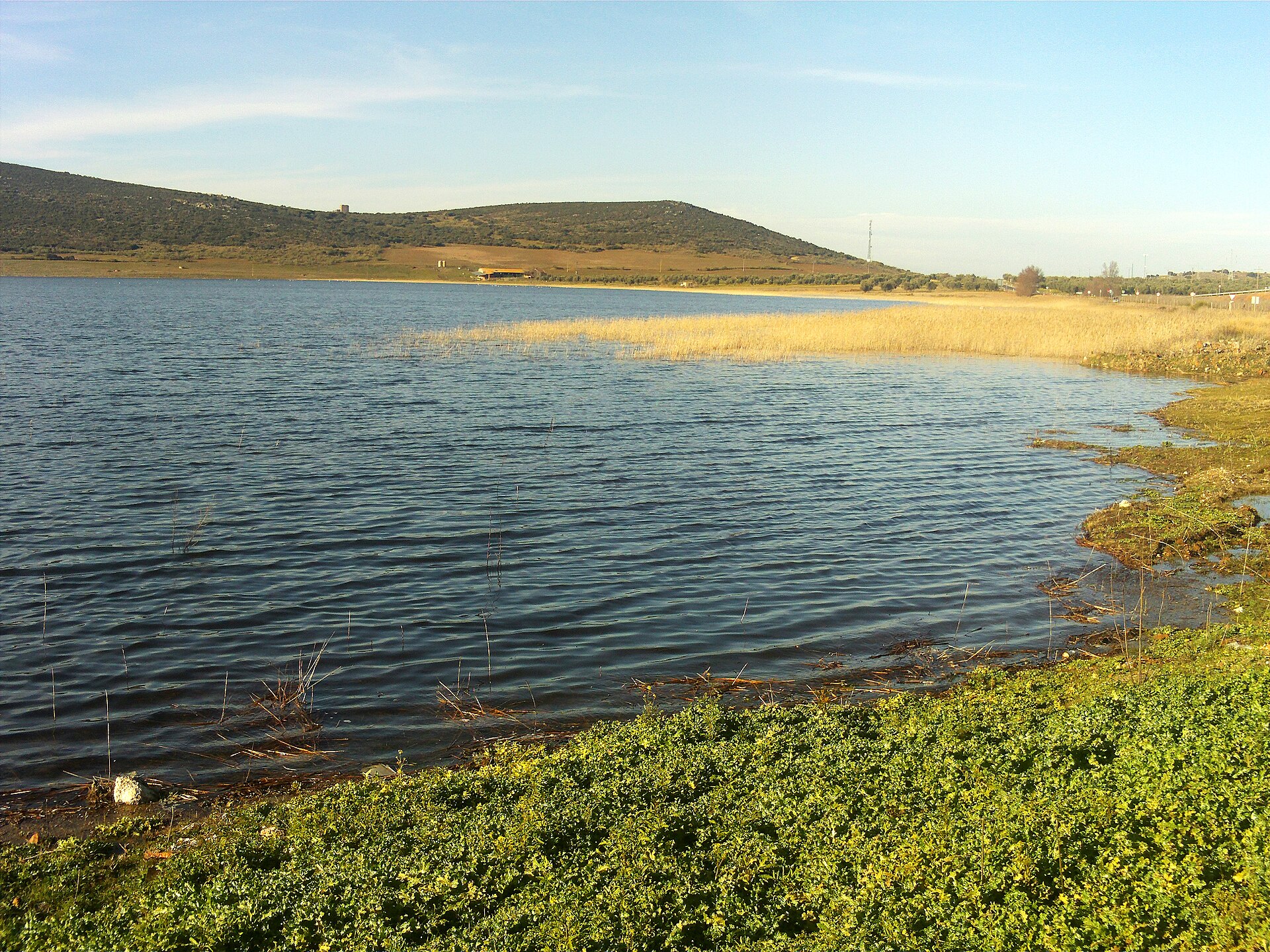 Laguna de Caracuel