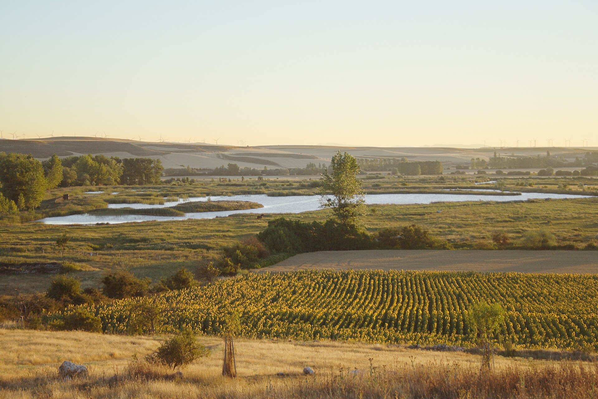 Atapuerca wetlands