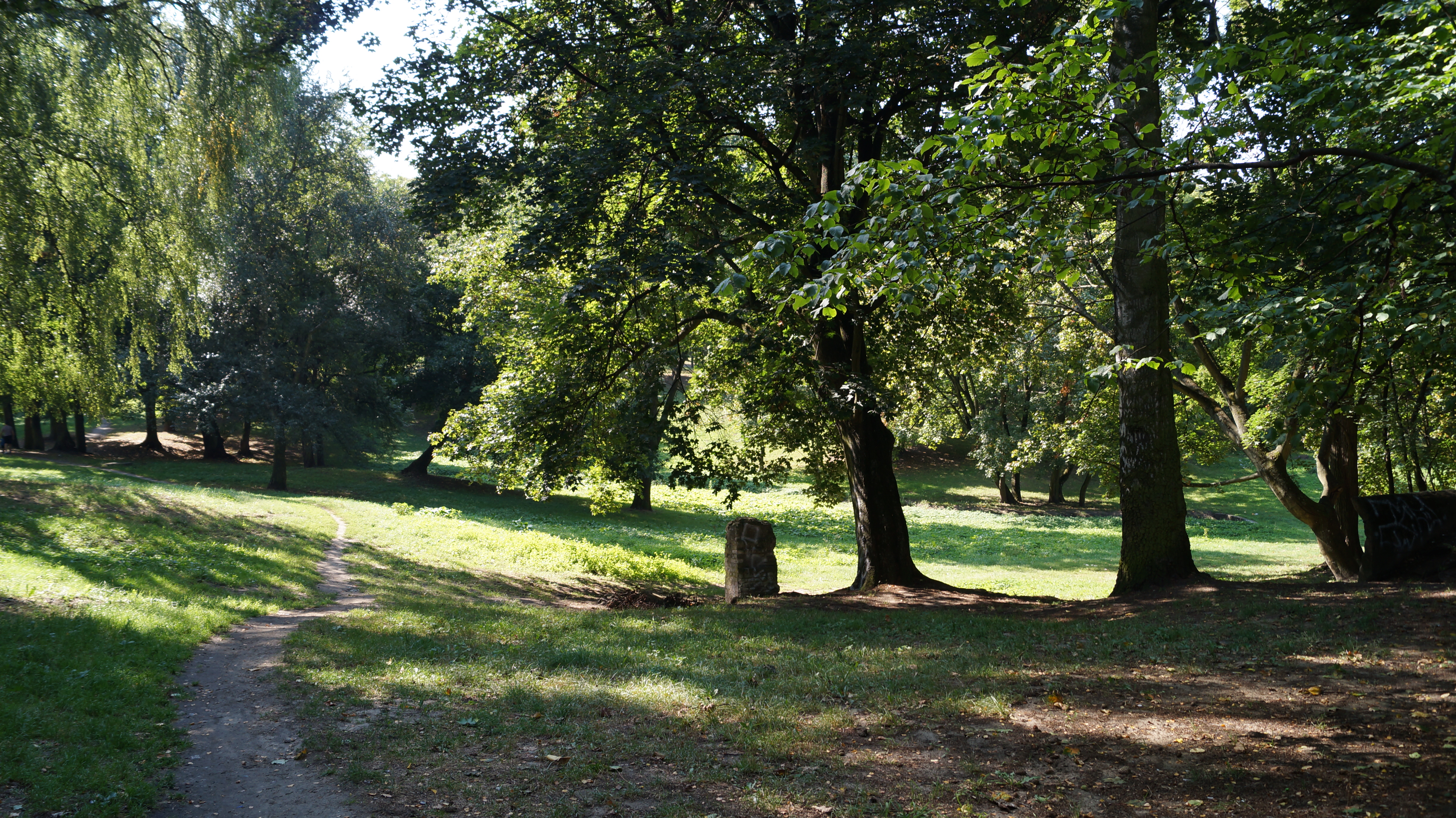 Park Modrzewie