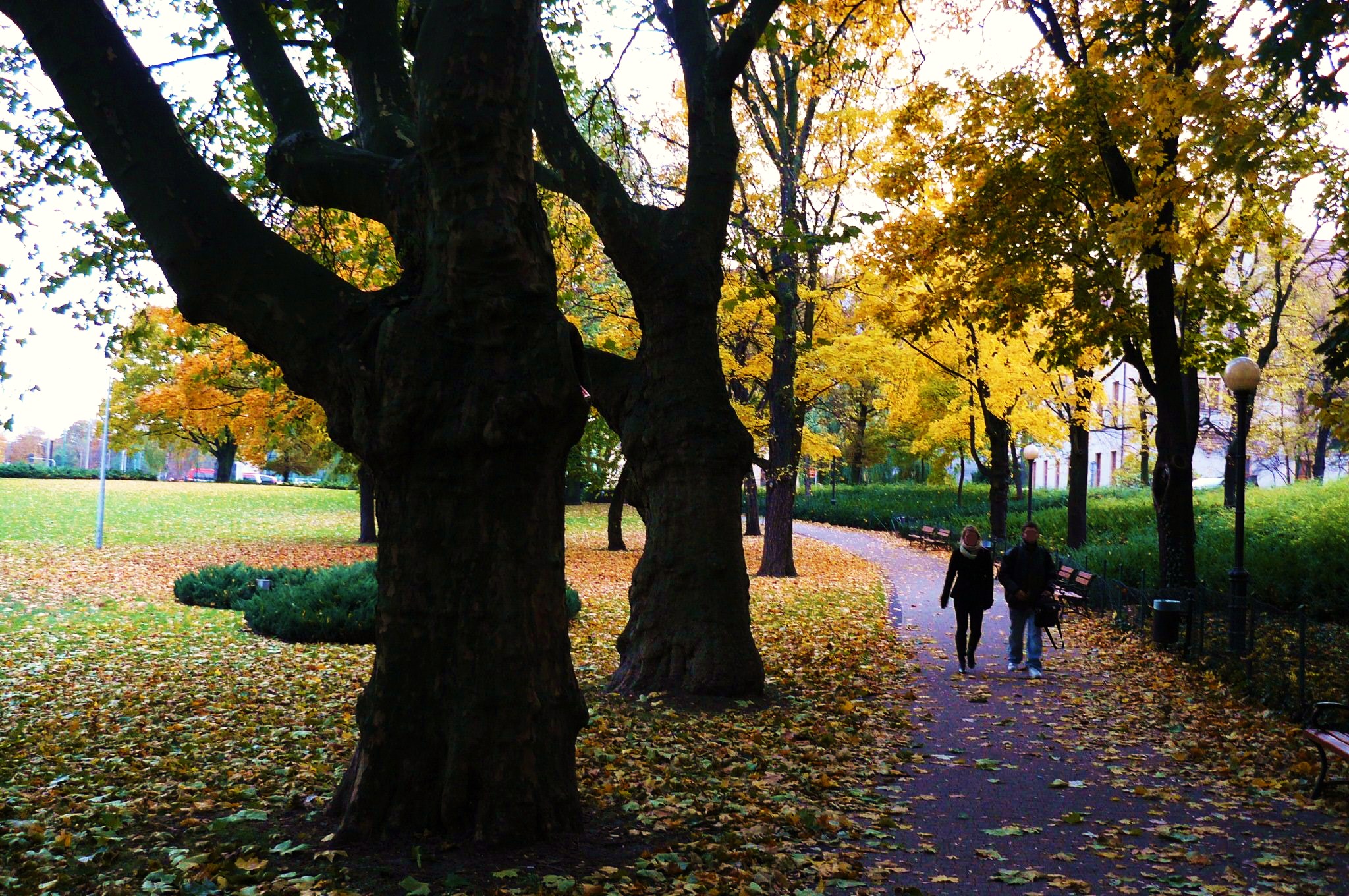 Park Adama Mickiewicza w Poznaniu