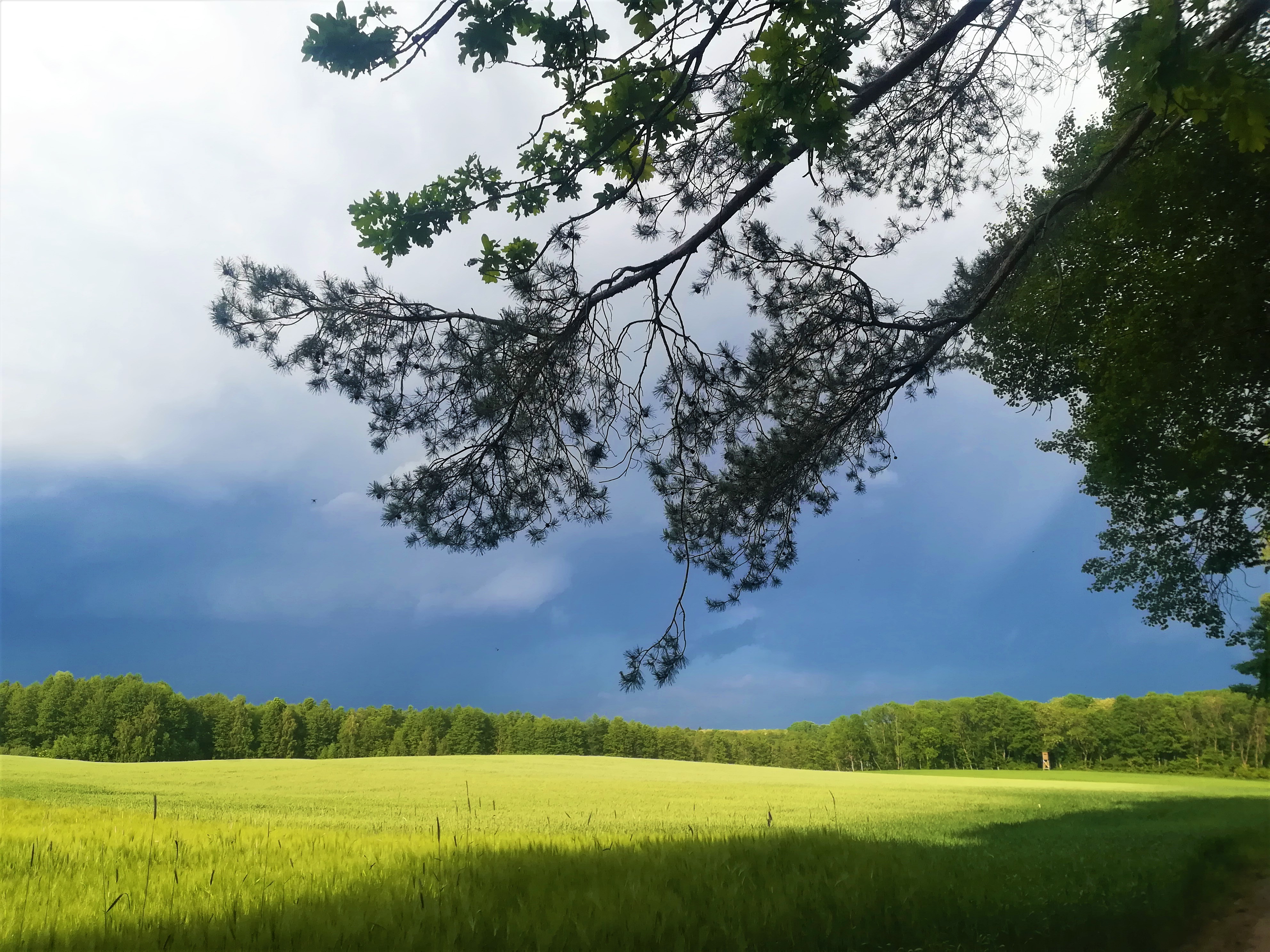 Wielkopolska National Park