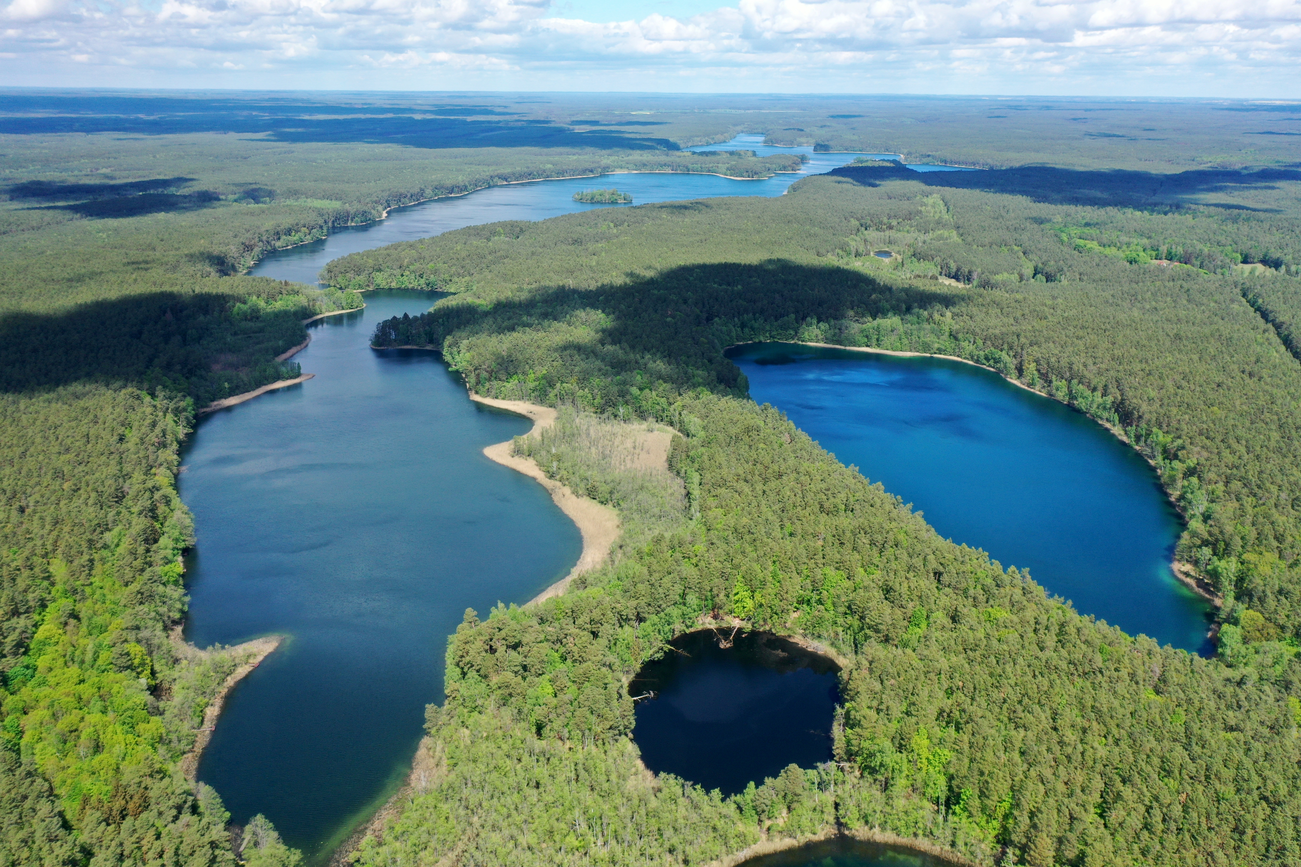 Drawa National Park