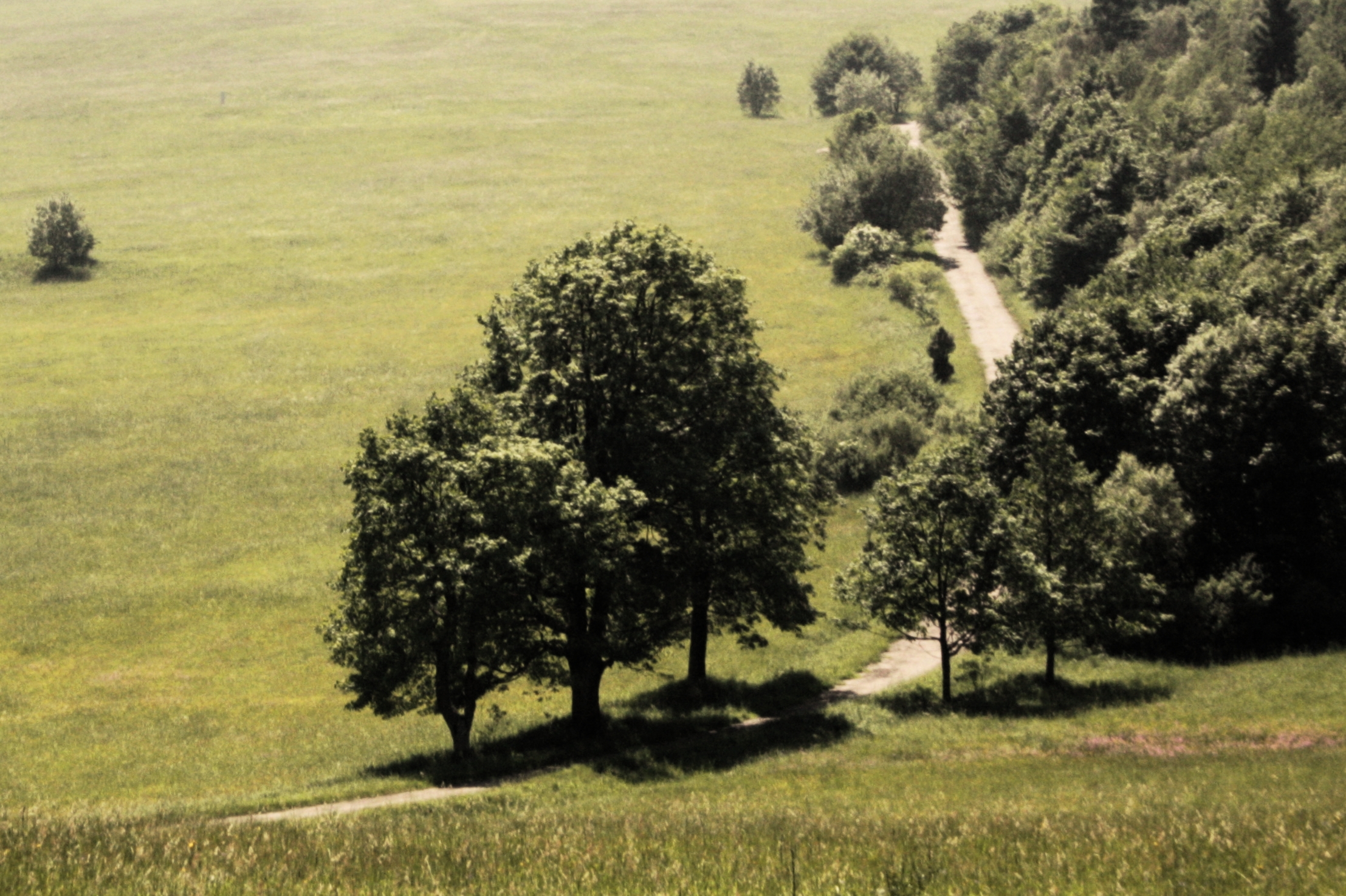 Magura National Park
