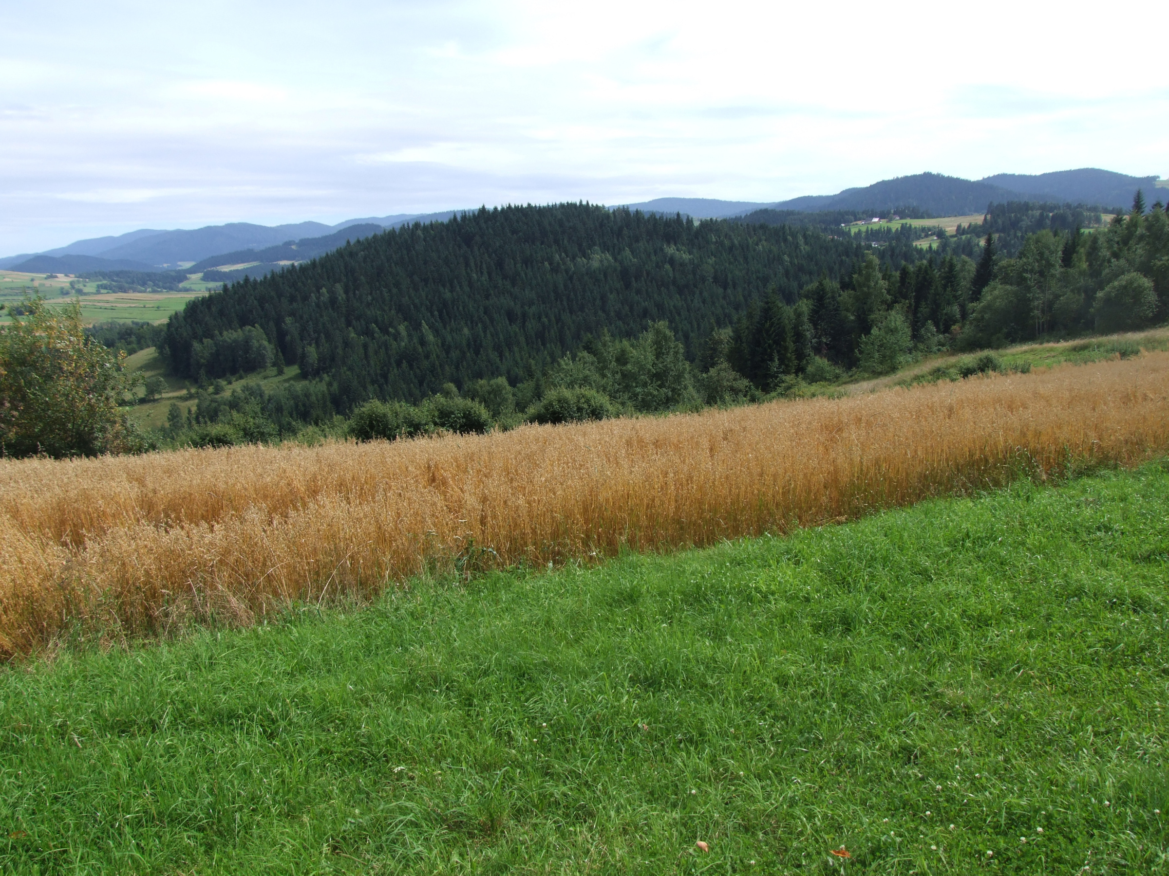Groń (Pasmo Szumiącej)