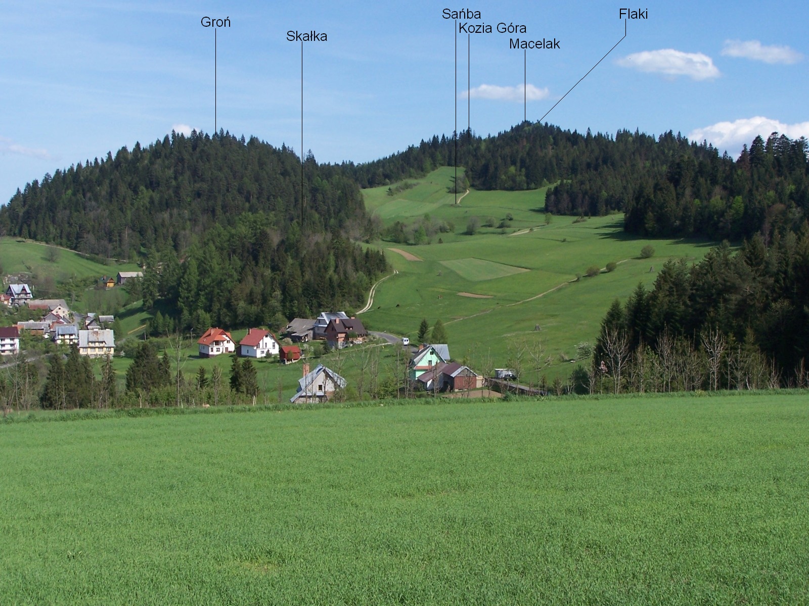Groń (Pieniny Czorsztyńskie)