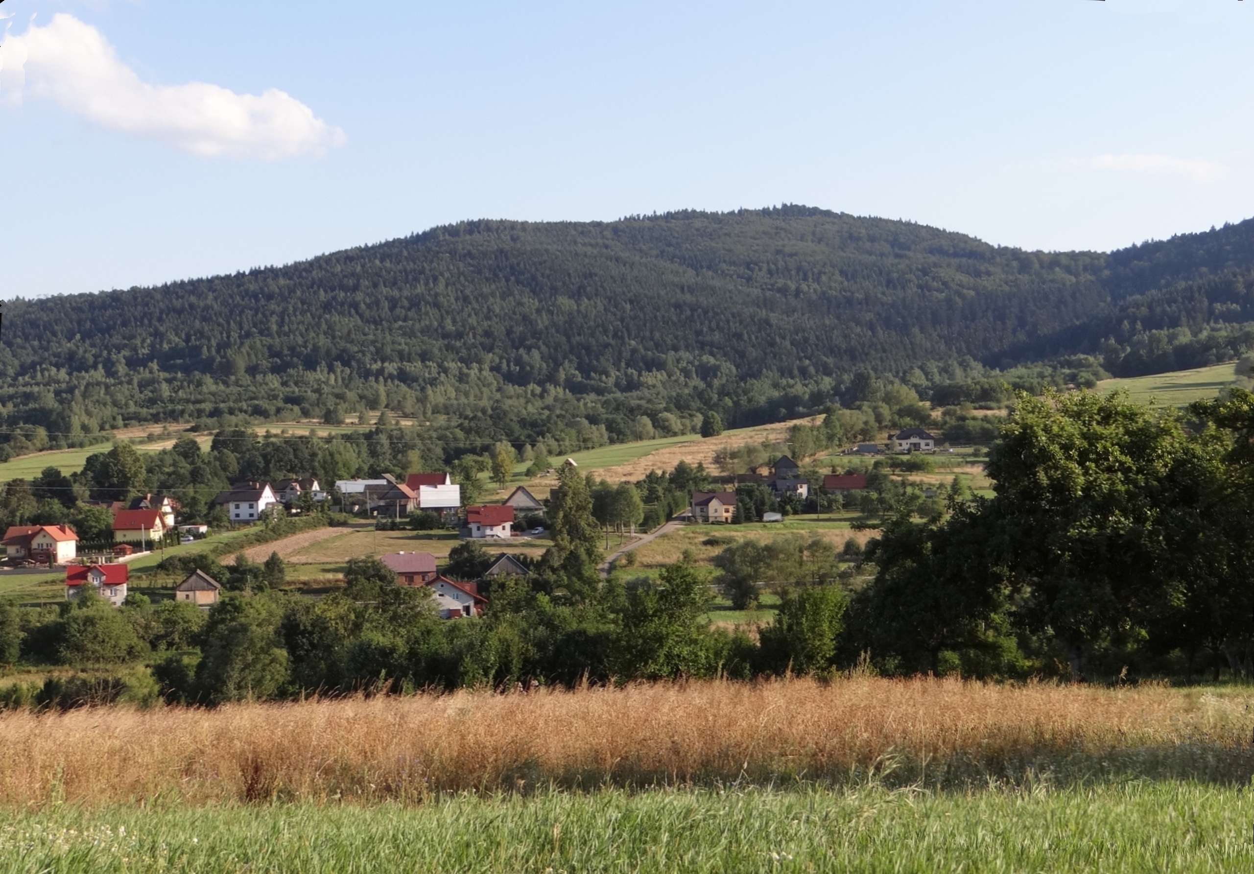 Gołuszkowa Góra