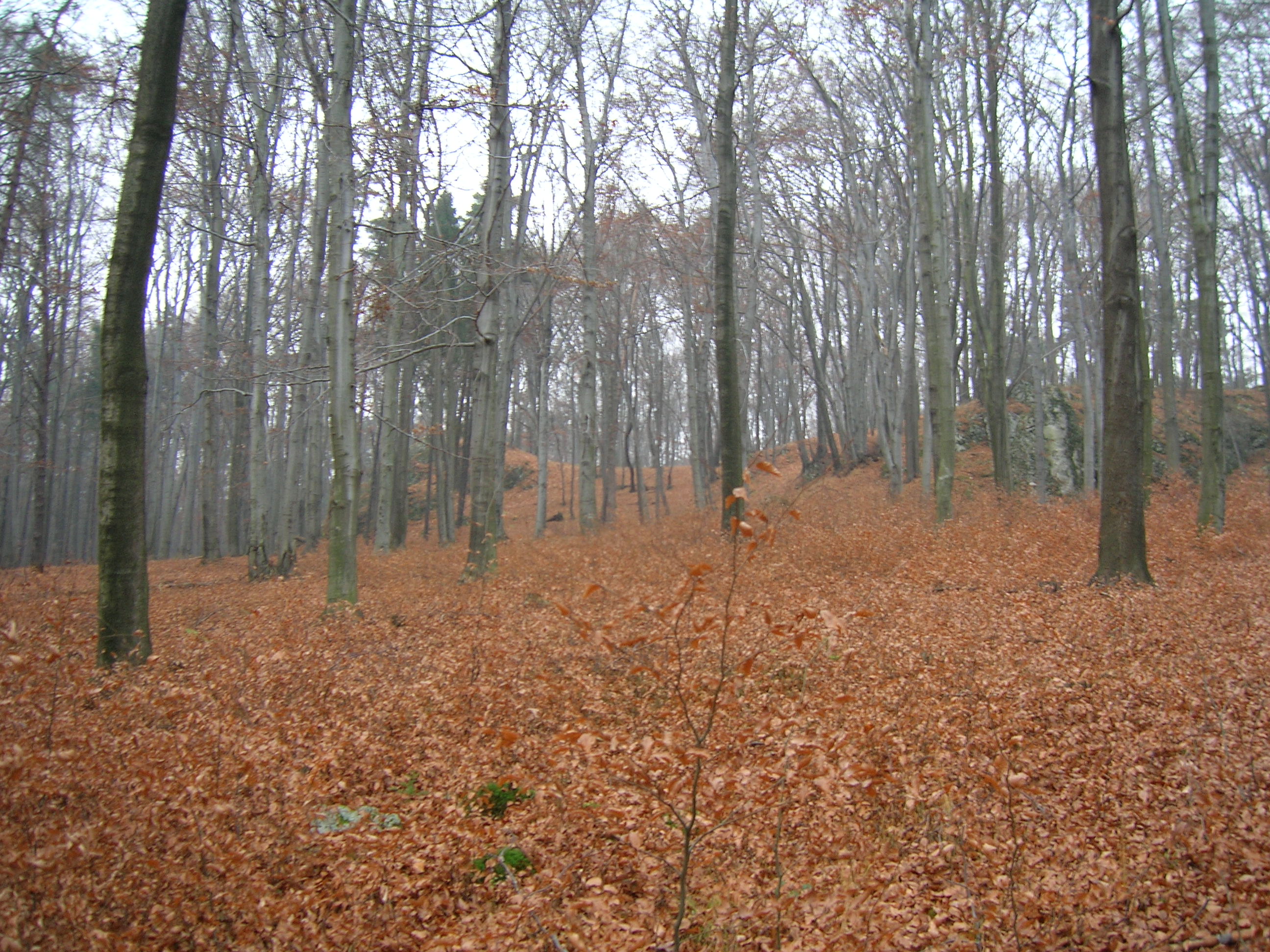 Góra Kominki