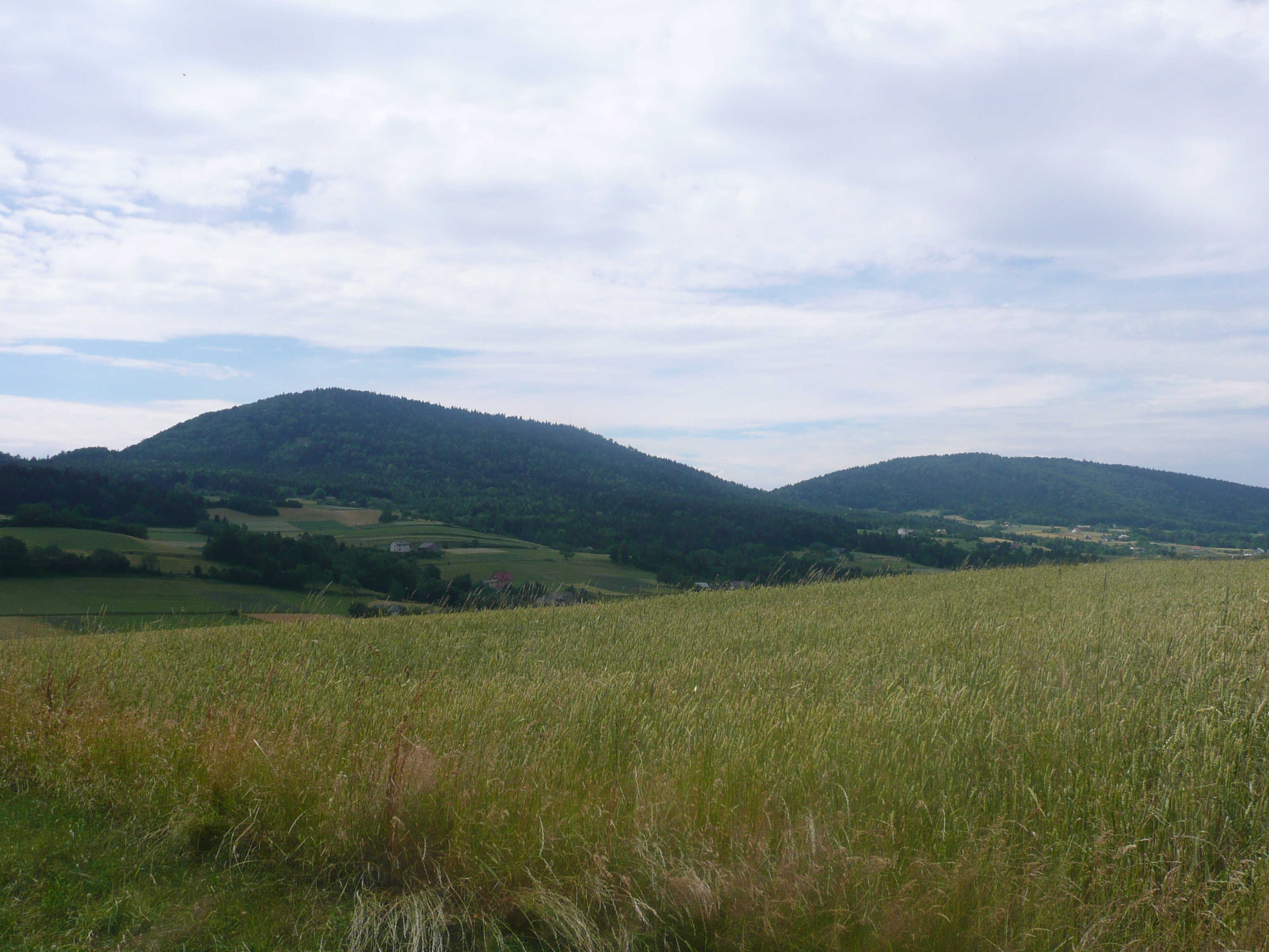 Rosochatka (szczyt)