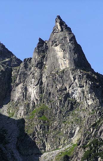 Mnich