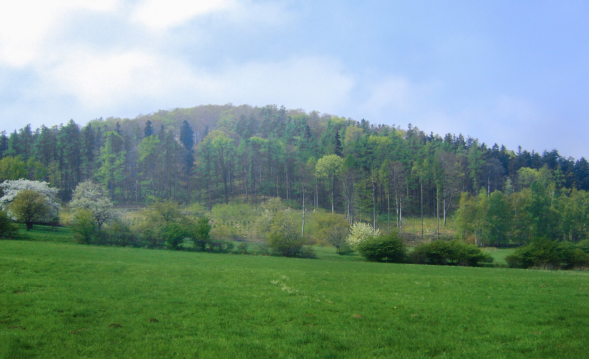 Wilczyna Mountain