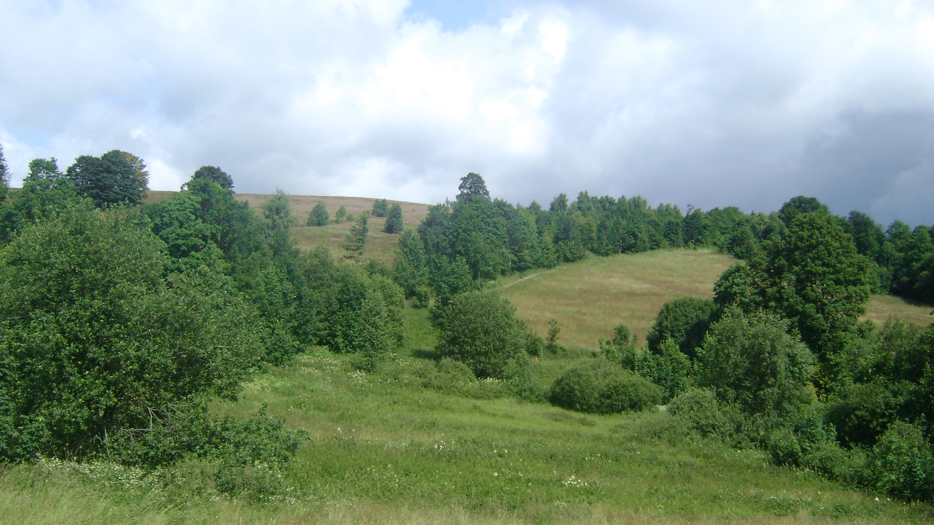 Aksamitowy Kopiec
