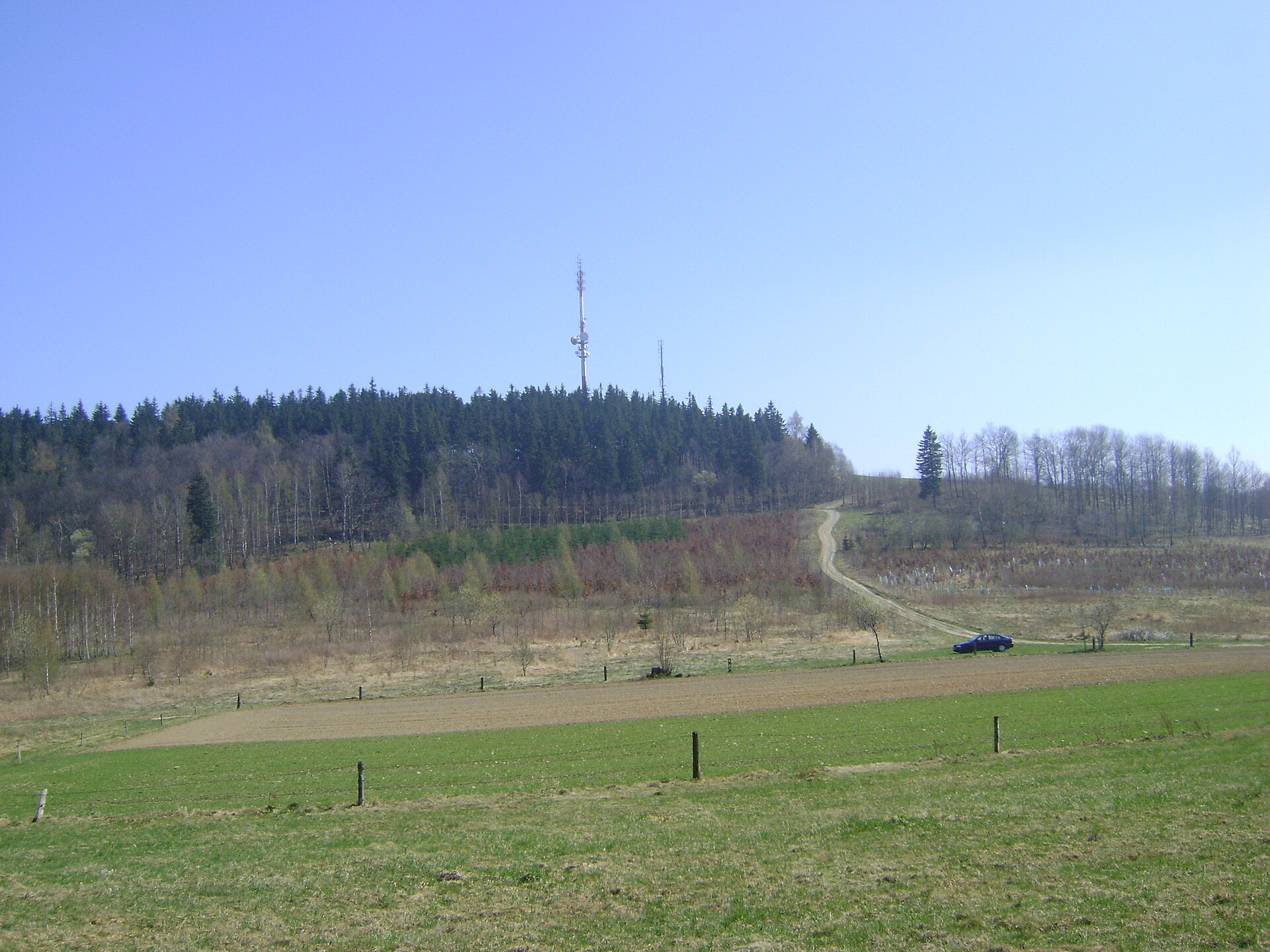 Baraniec