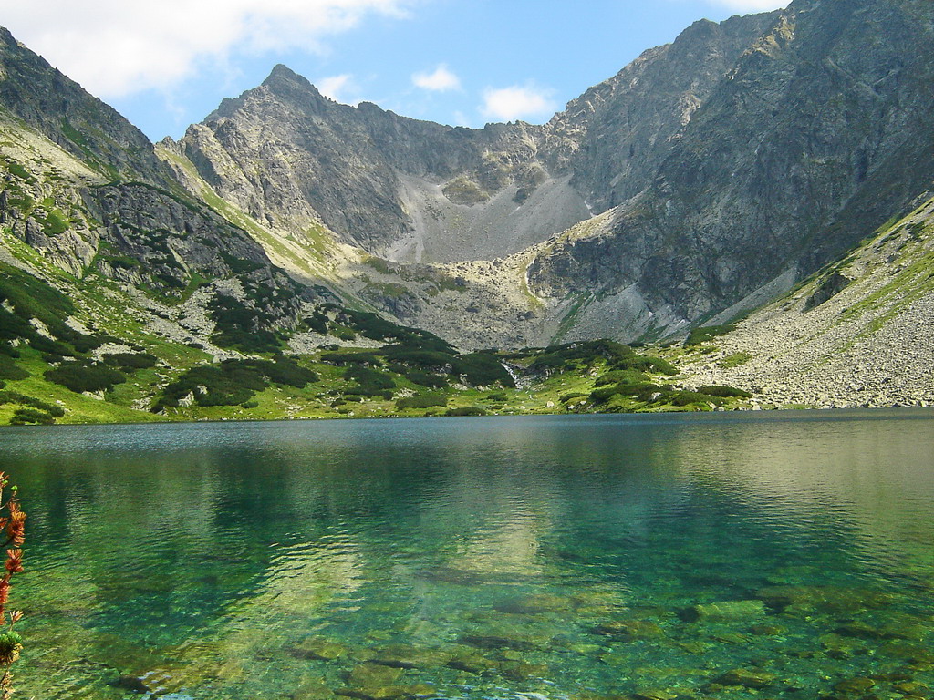 Cubryna