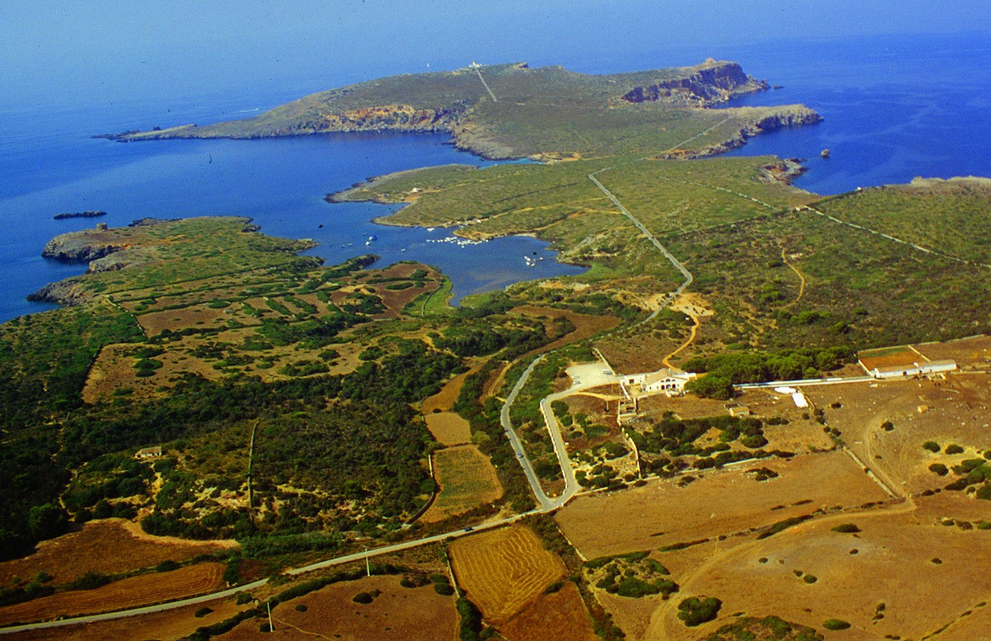 Sanisera