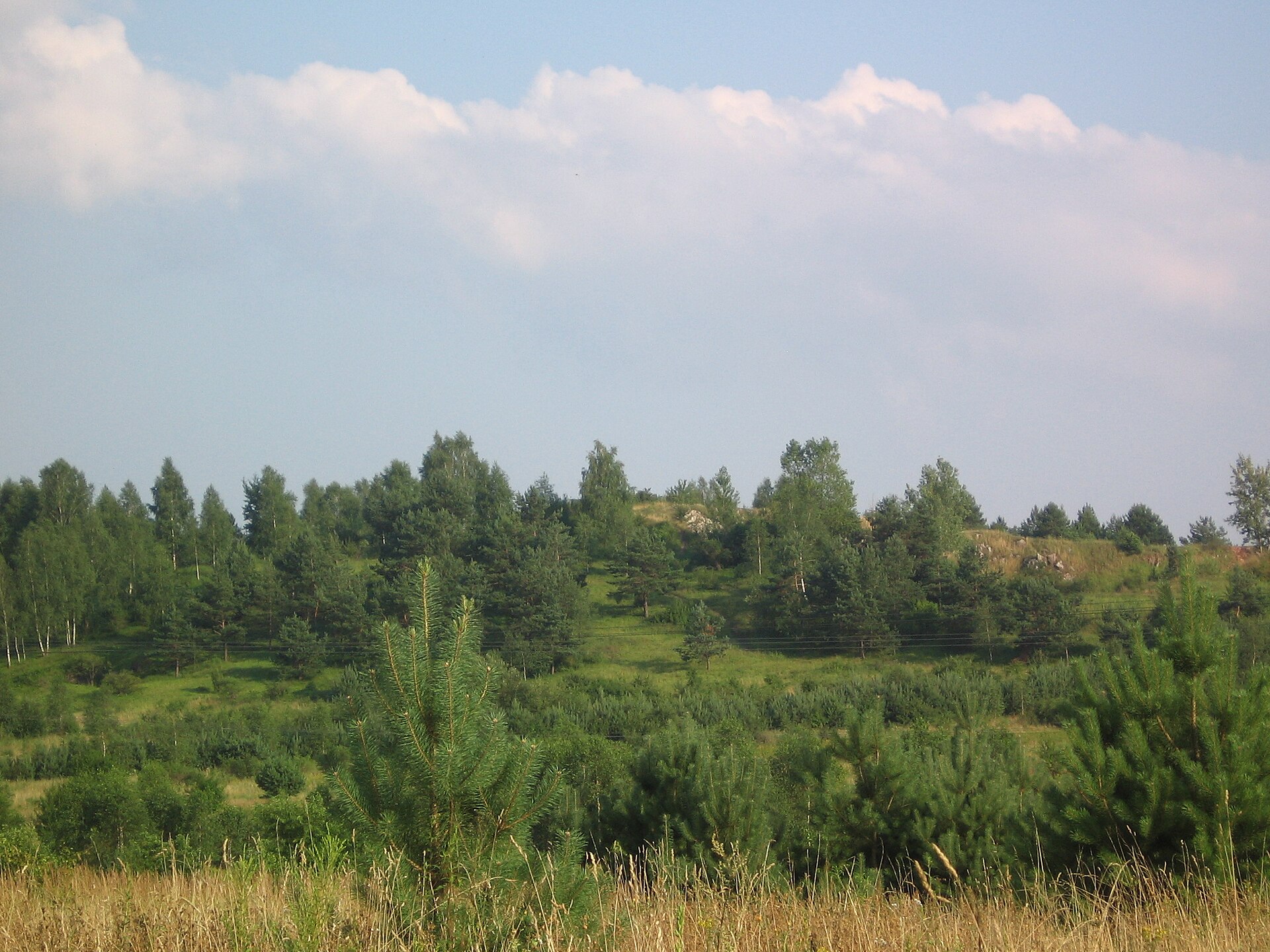 Grabina (Góry Świętokrzyskie)