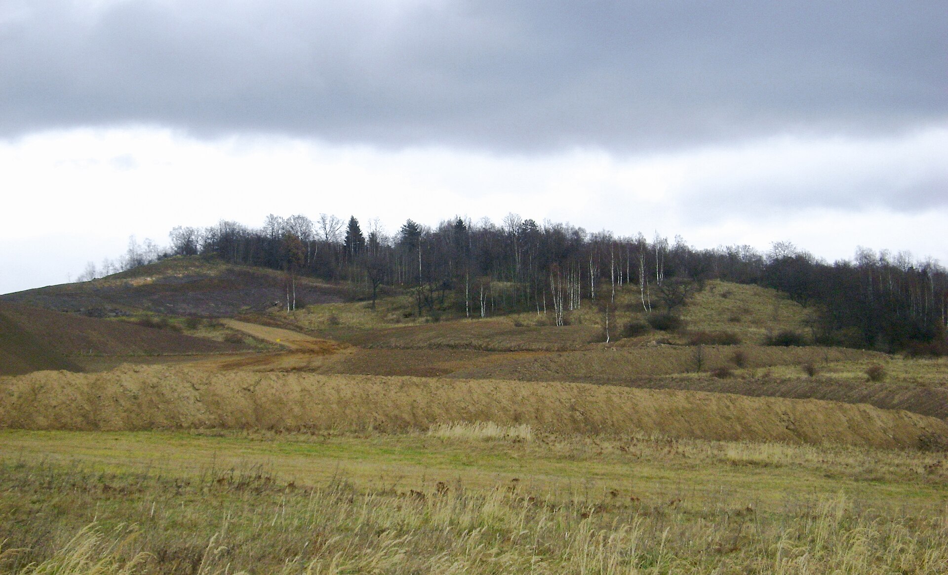 Gardzień (wzgórze)