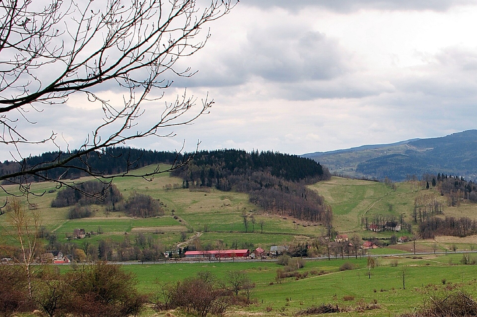 Różanka