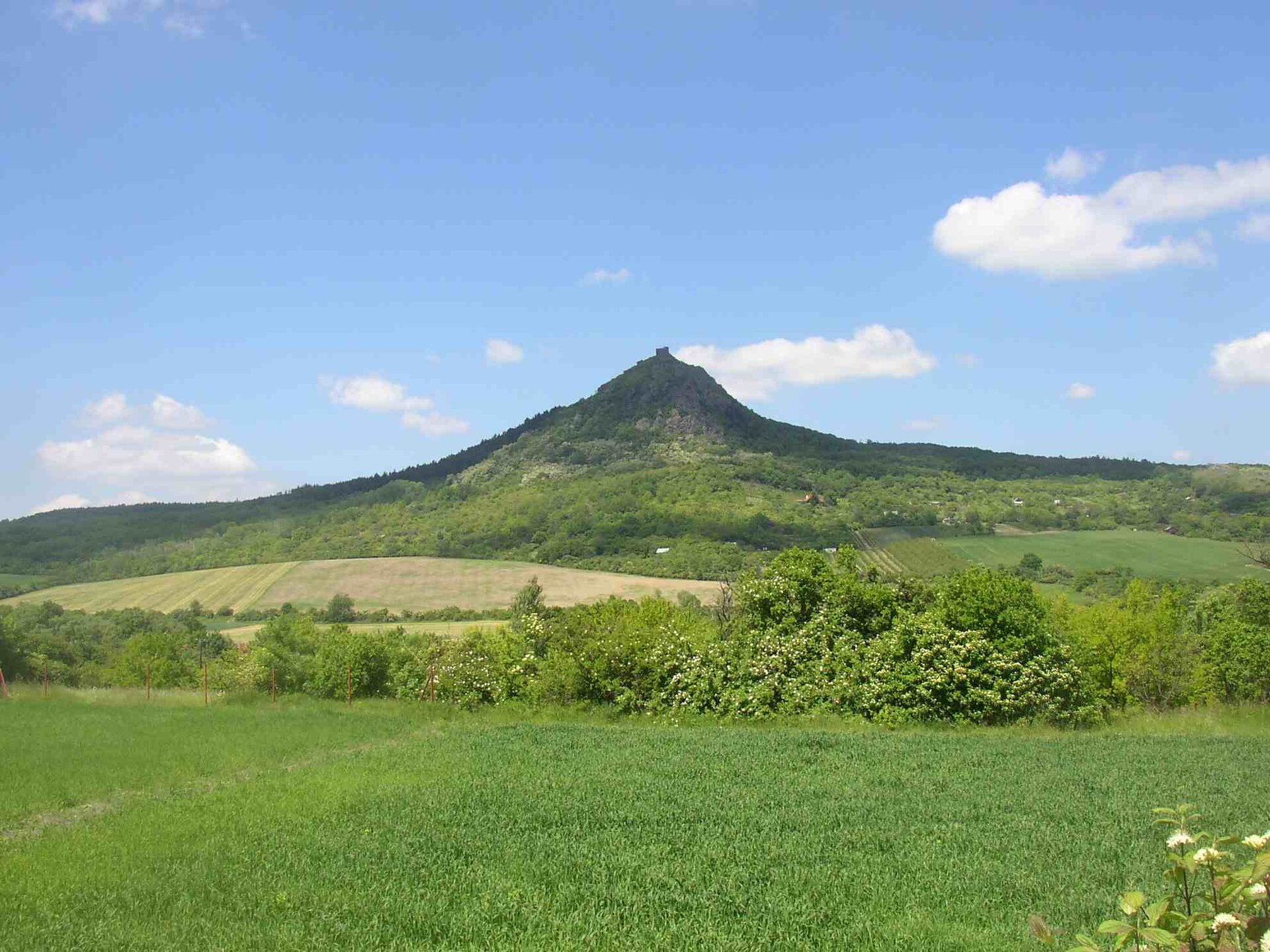 Košťál