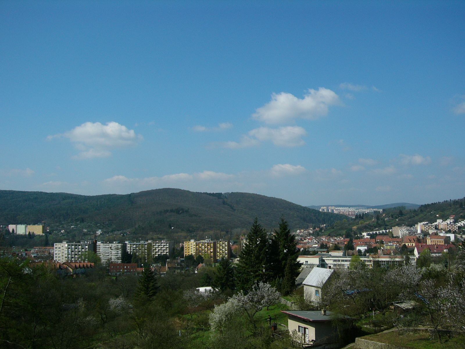 Palackého vrch