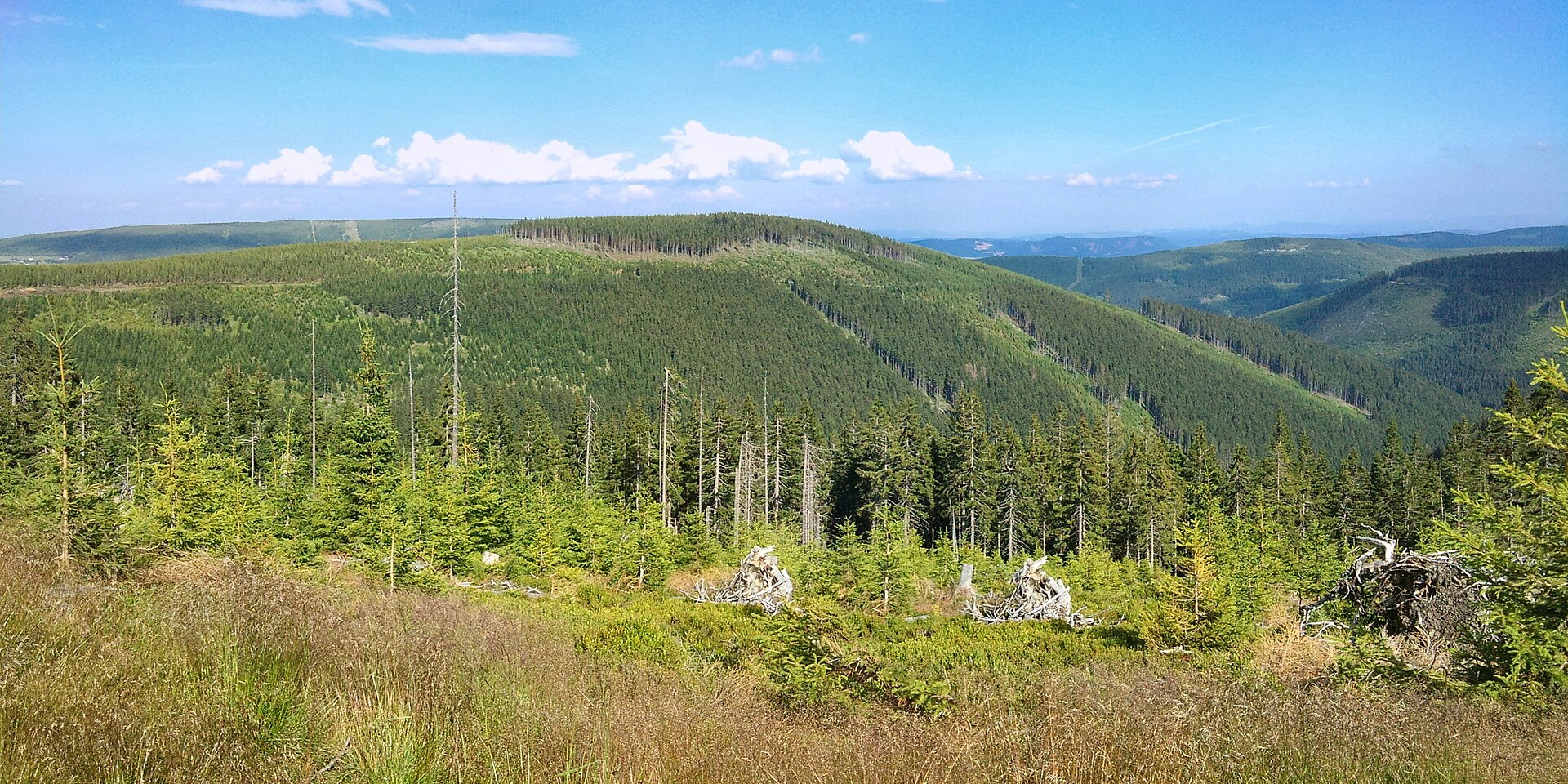 Jelení hora (Karkonosze)