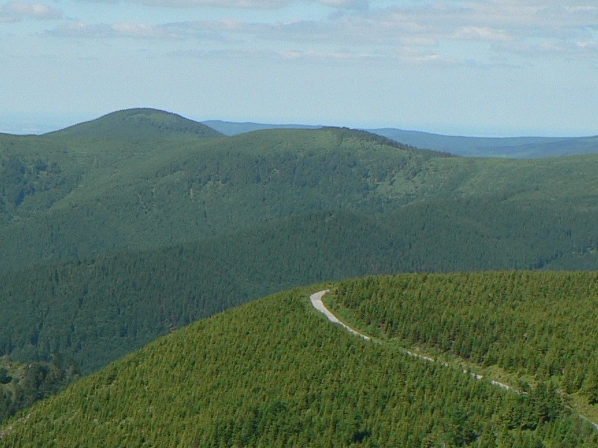 Výrovka