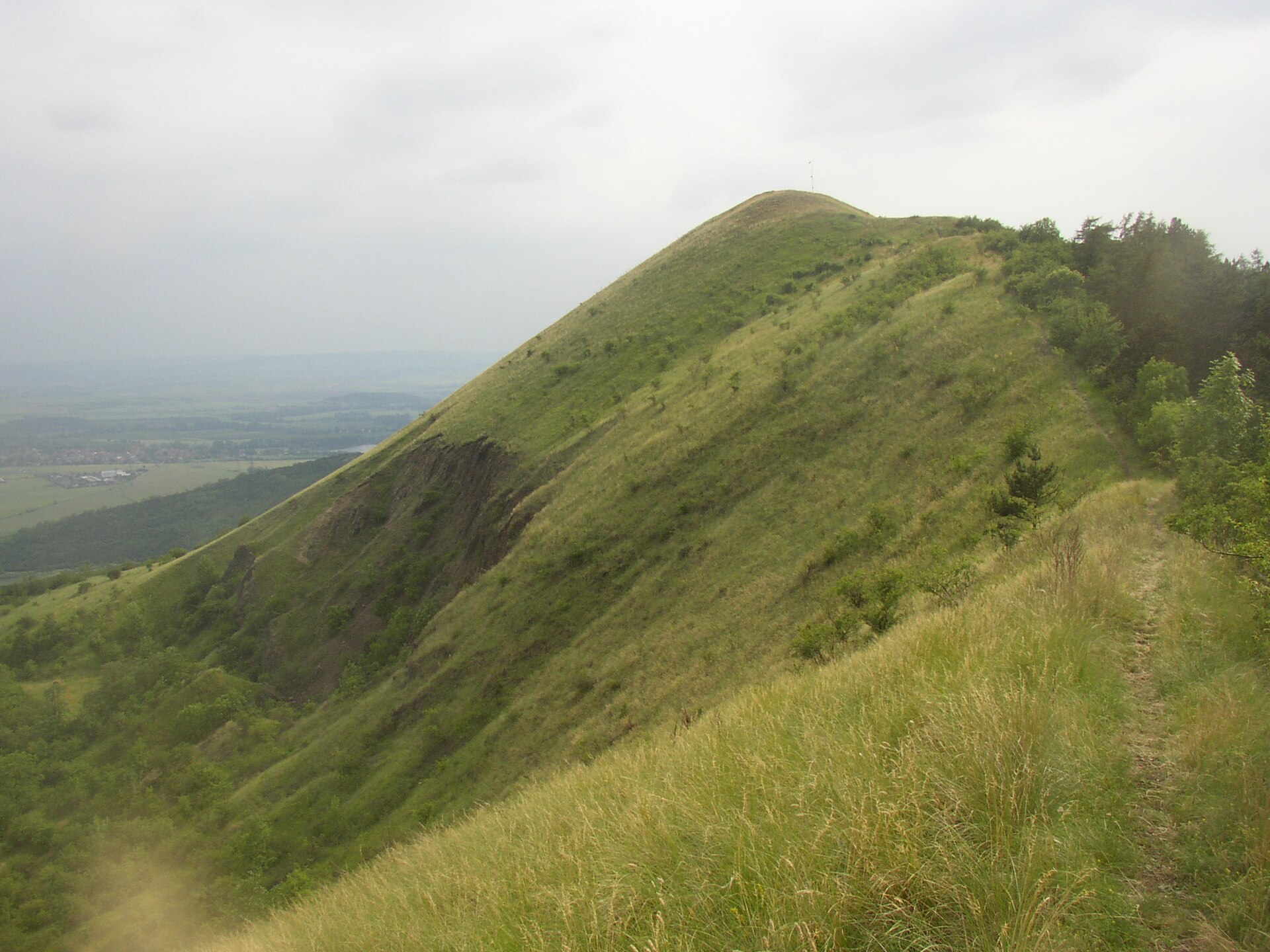 Raná