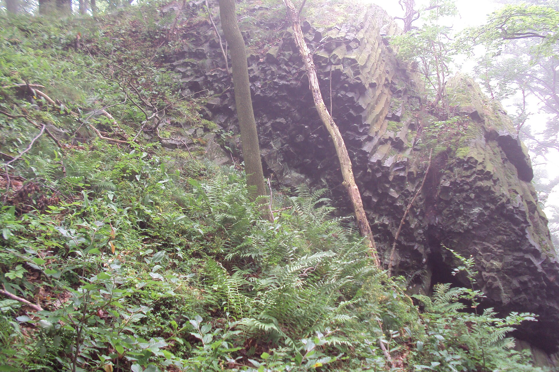 Chotovický vrch