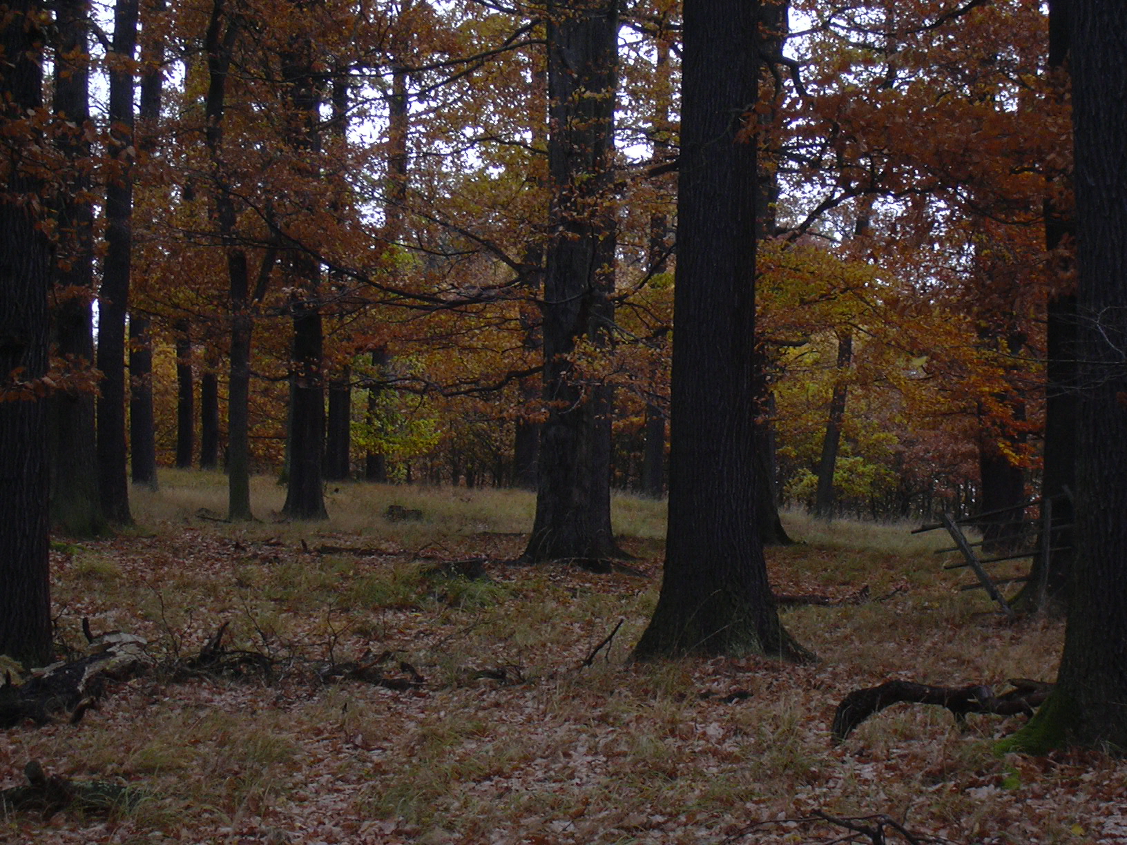 Těchovín