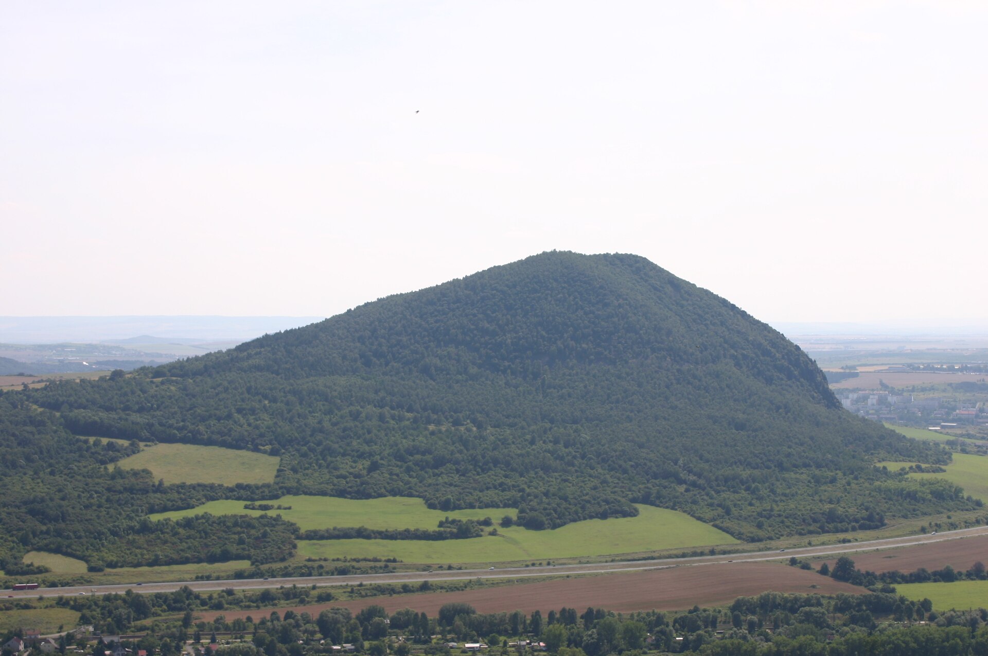 Zlatník