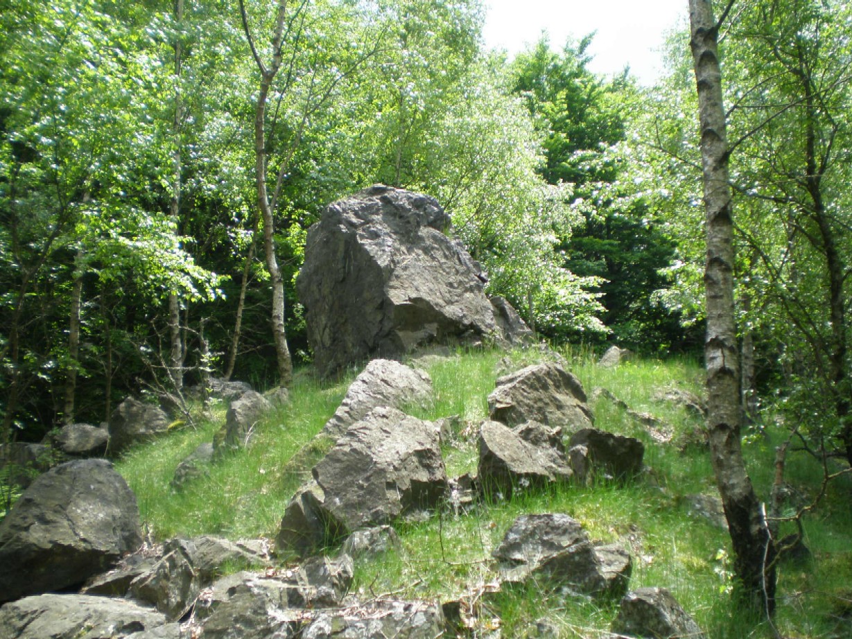 Palcíř
